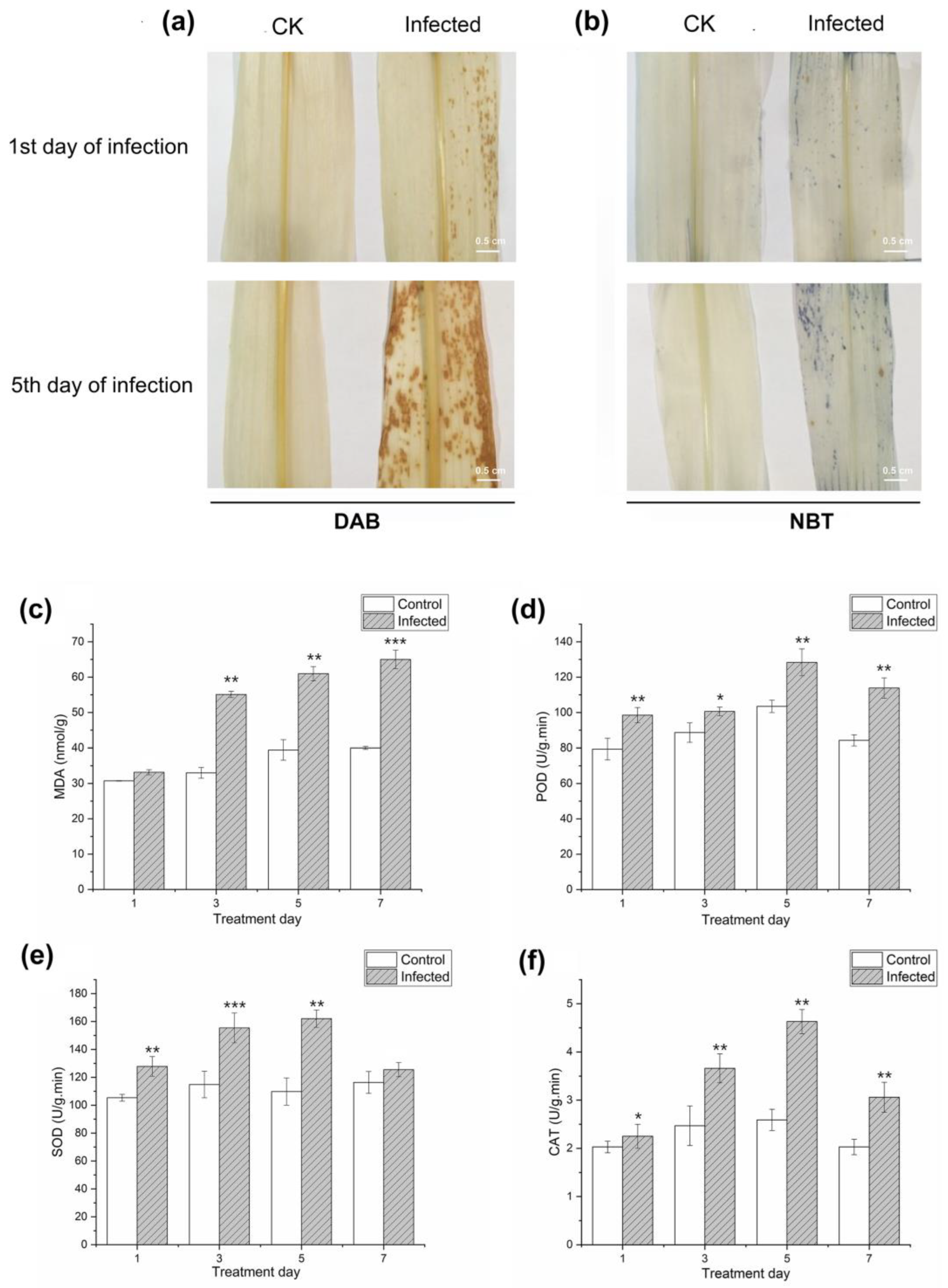 Plants 12 01307 g002