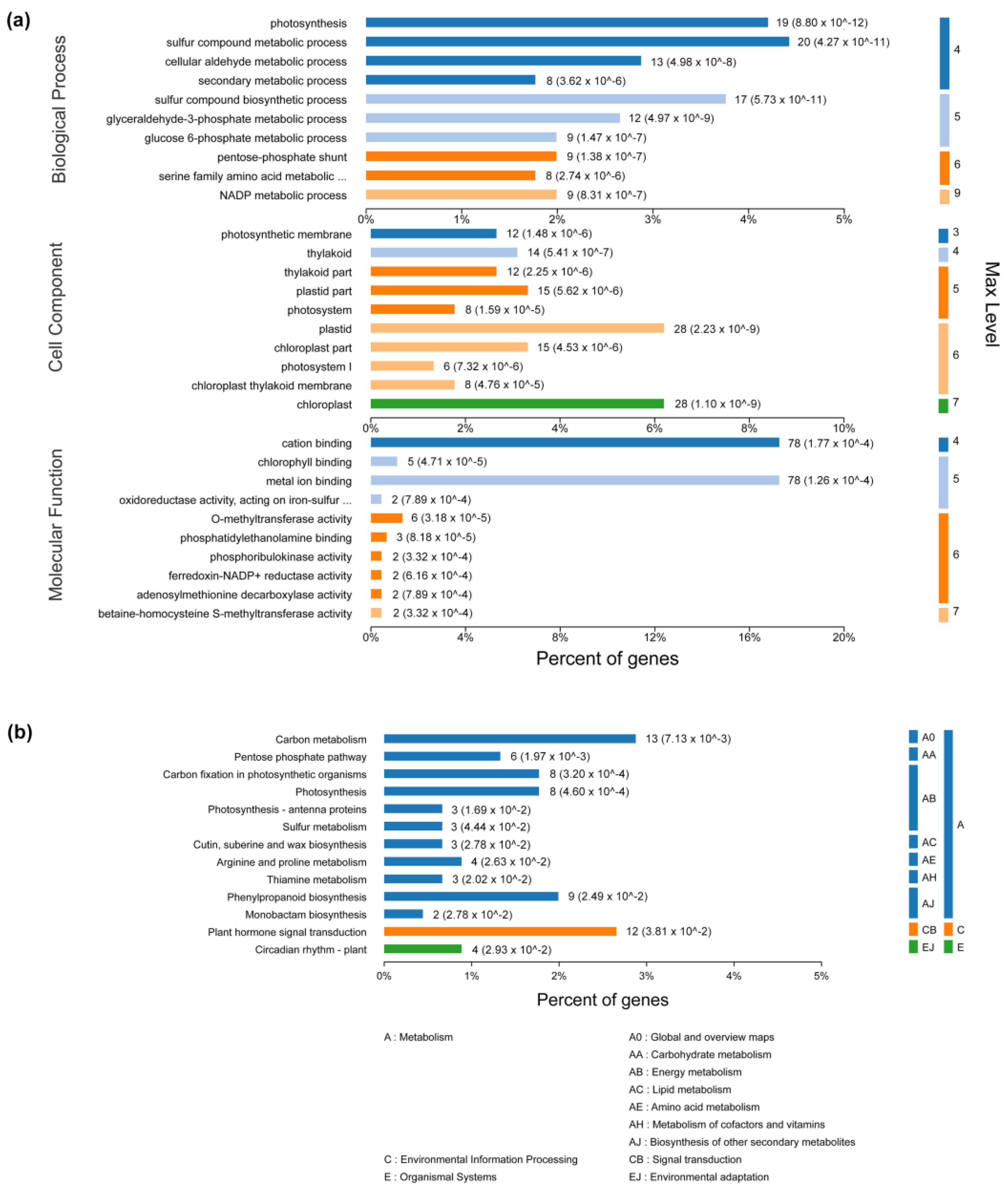 Plants 12 01307 g004