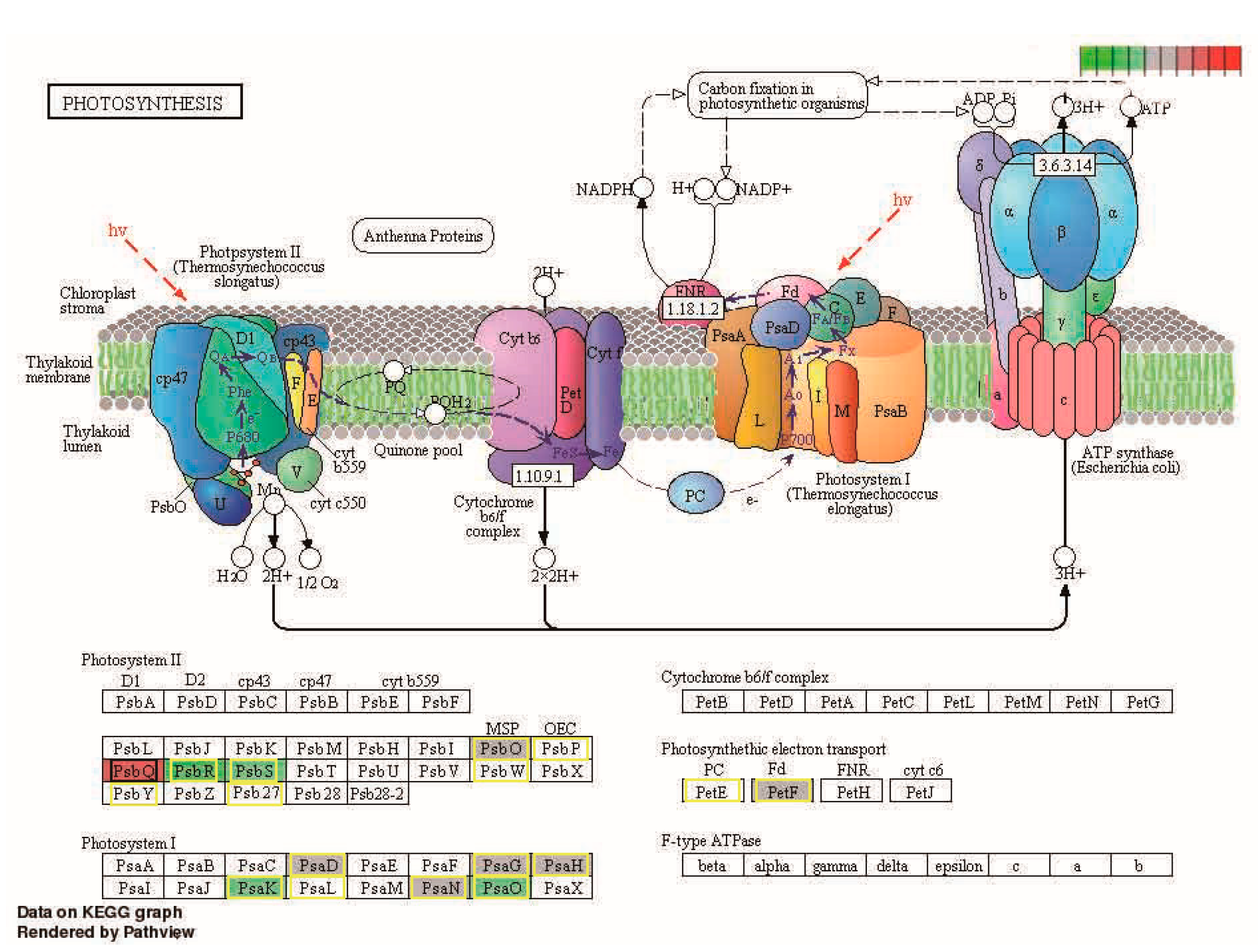 Plants 12 01309 g006 Plants 12 01309 g006