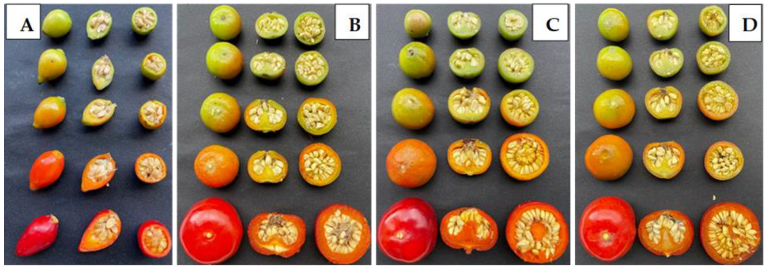 Plants 12 01314 g005