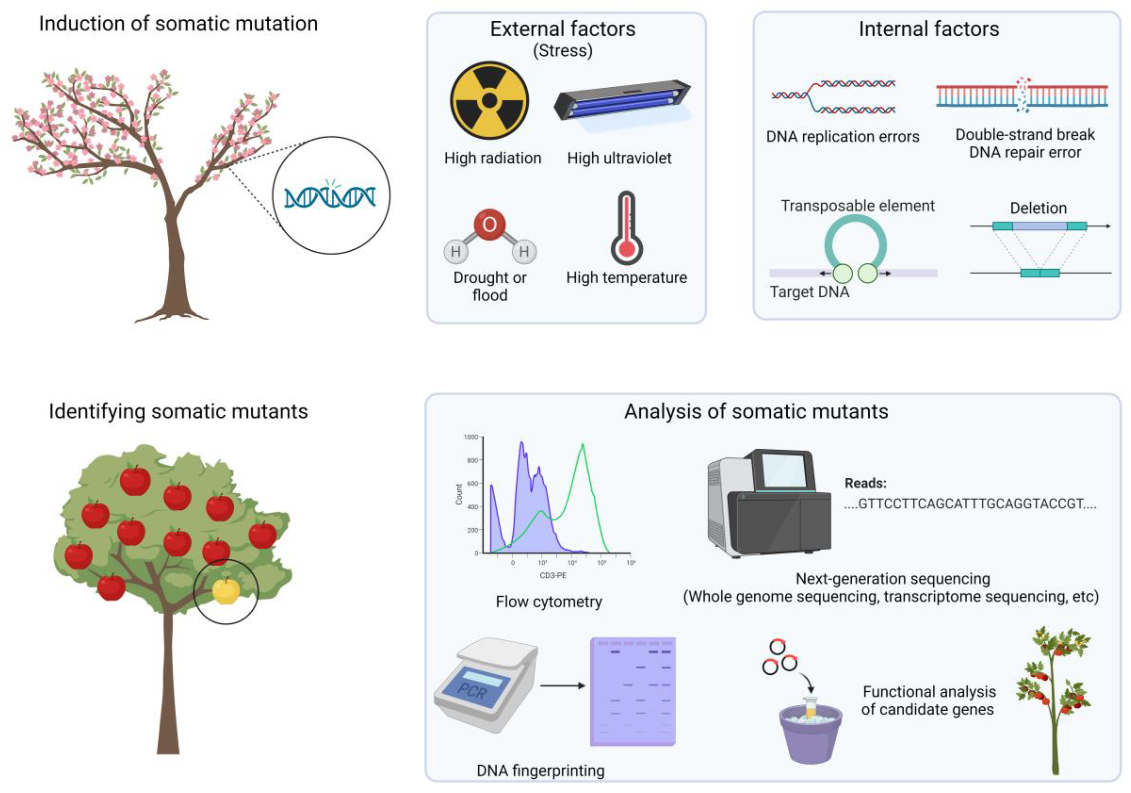 Plants 12 01316 g001