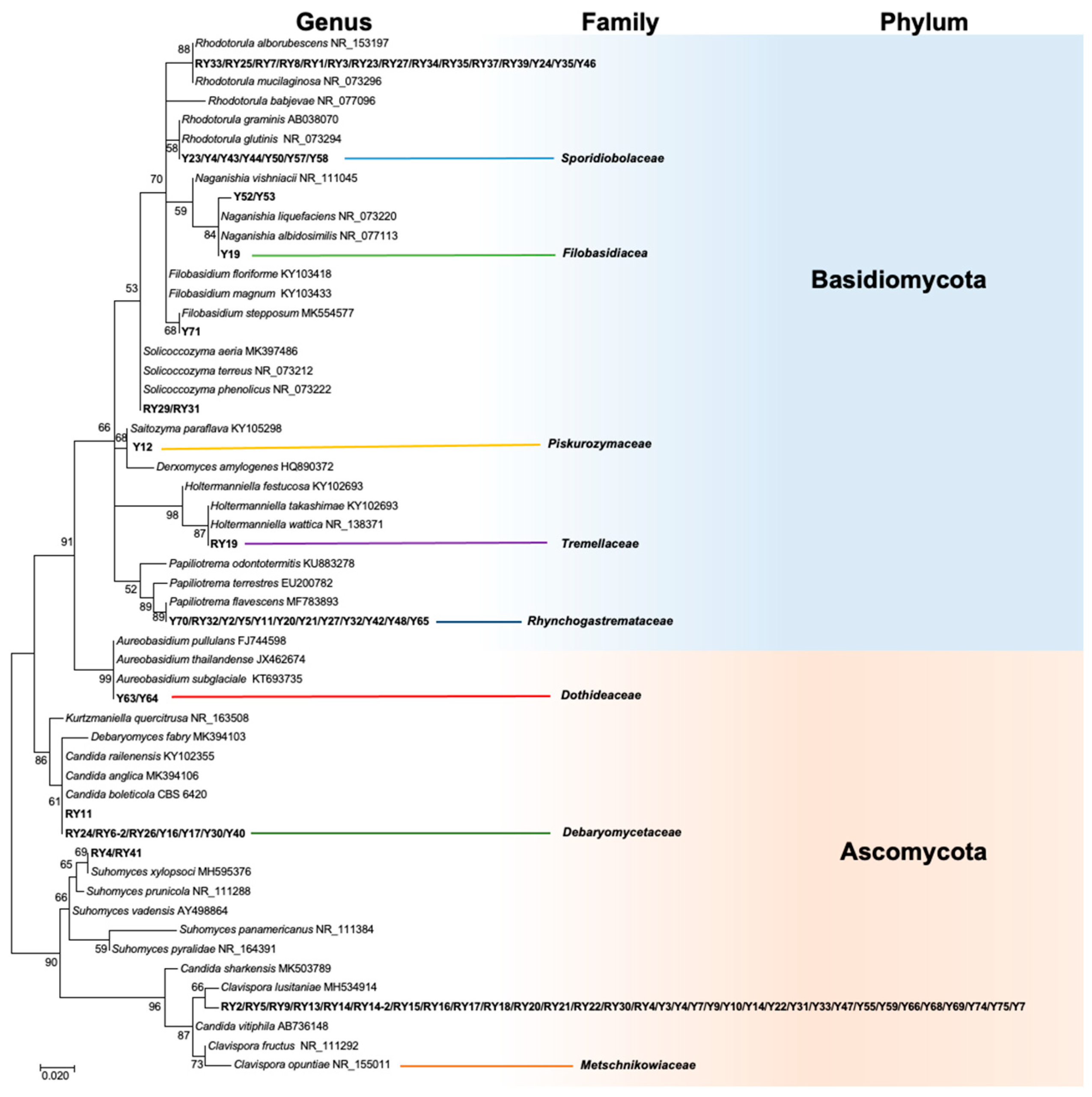 Plants 12 01328 g001 Plants 12 01328 g001