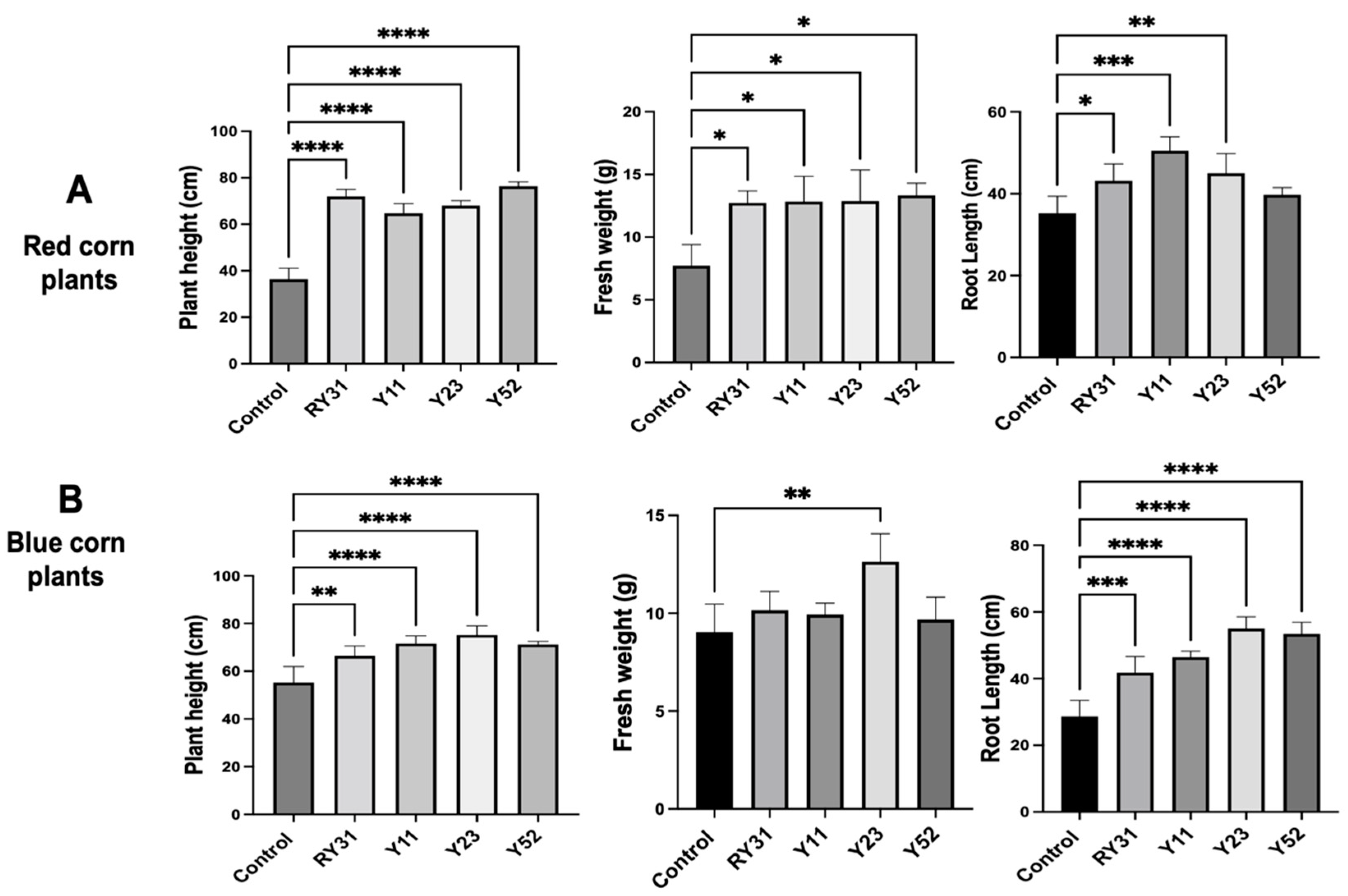 Plants 12 01328 g005 Plants 12 01328 g005