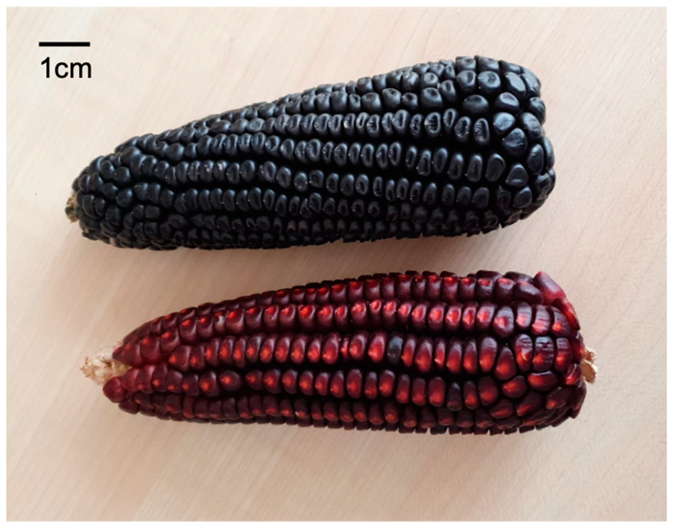 Plants 12 01328 g006 Plants 12 01328 g006