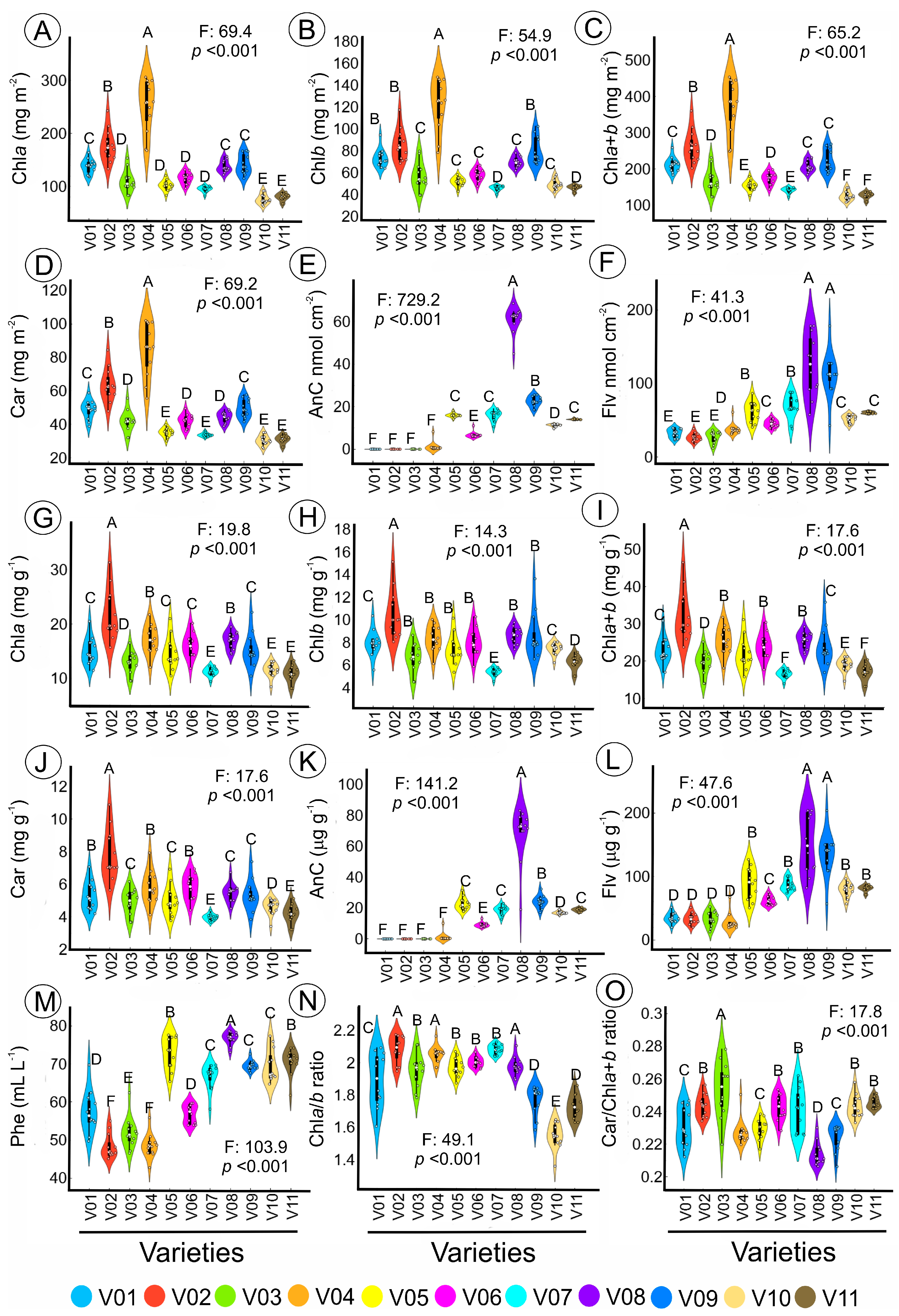 Plants 12 01333 g002