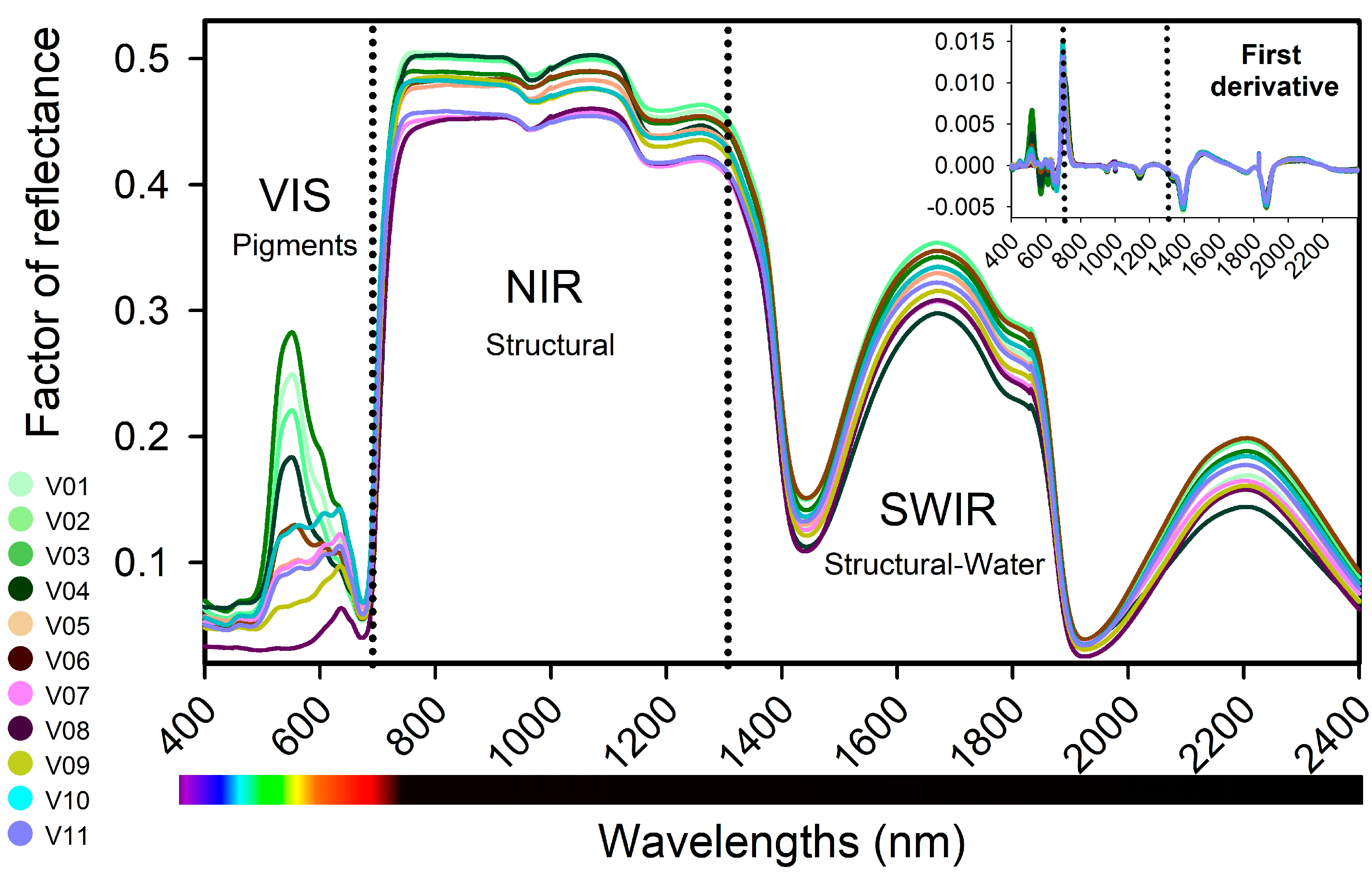 Plants 12 01333 g003
