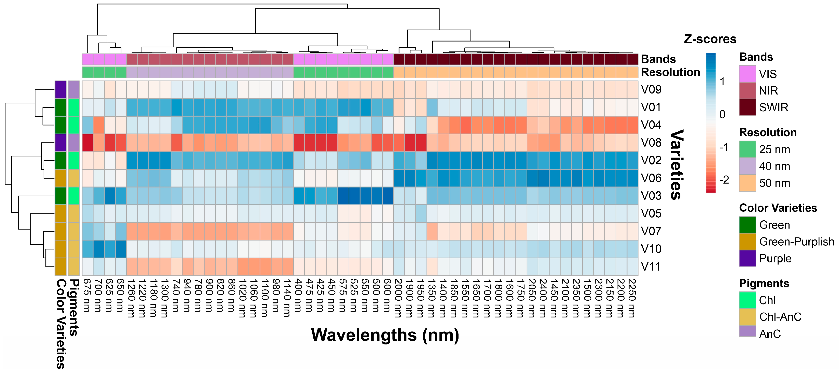 Plants 12 01333 g005