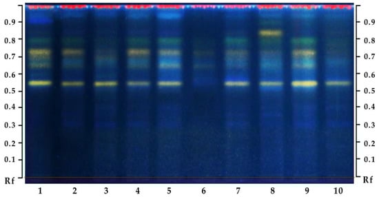 Plants 12 01352 g0a2