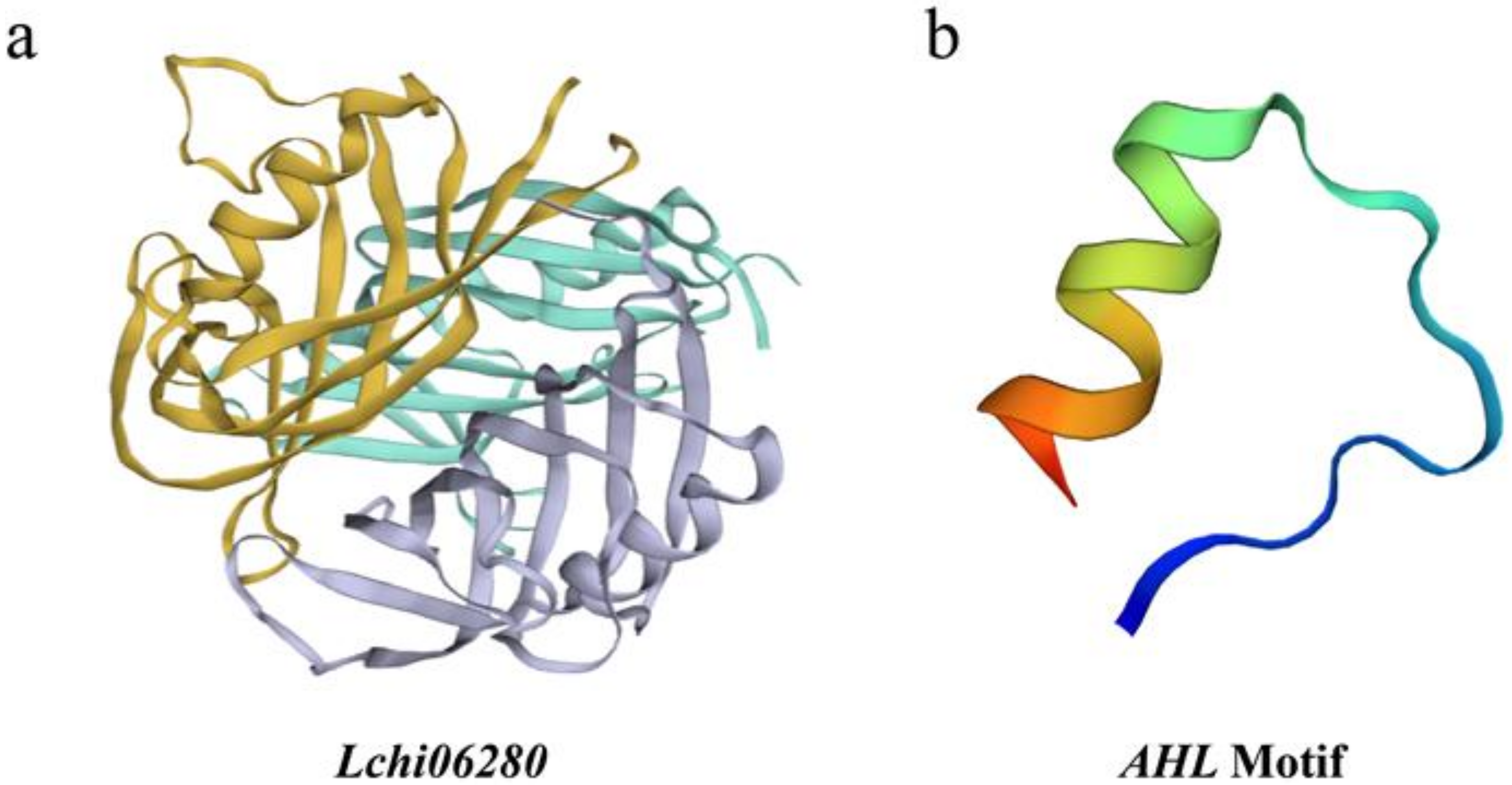 Plants 12 01353 g001