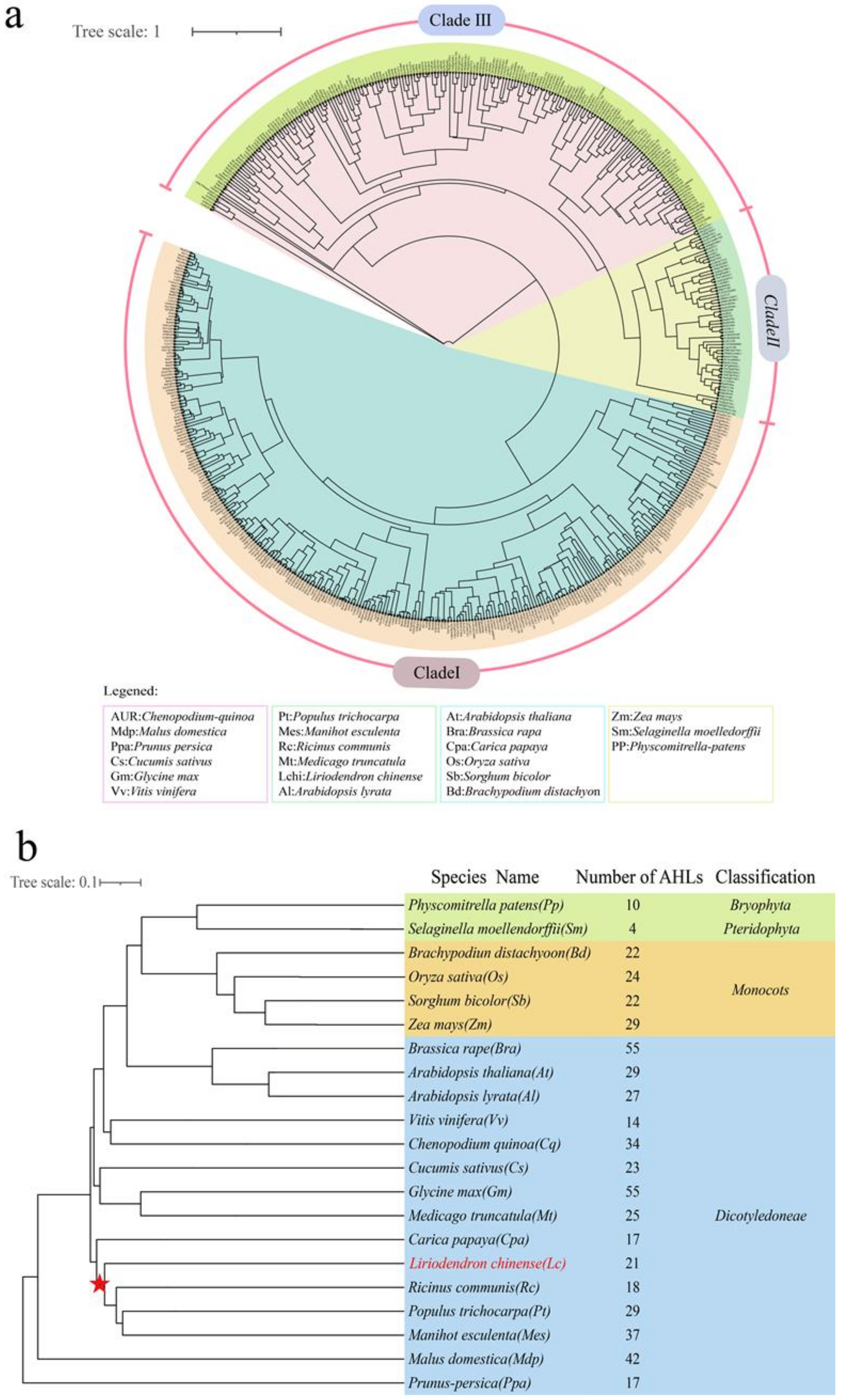 Plants 12 01353 g003