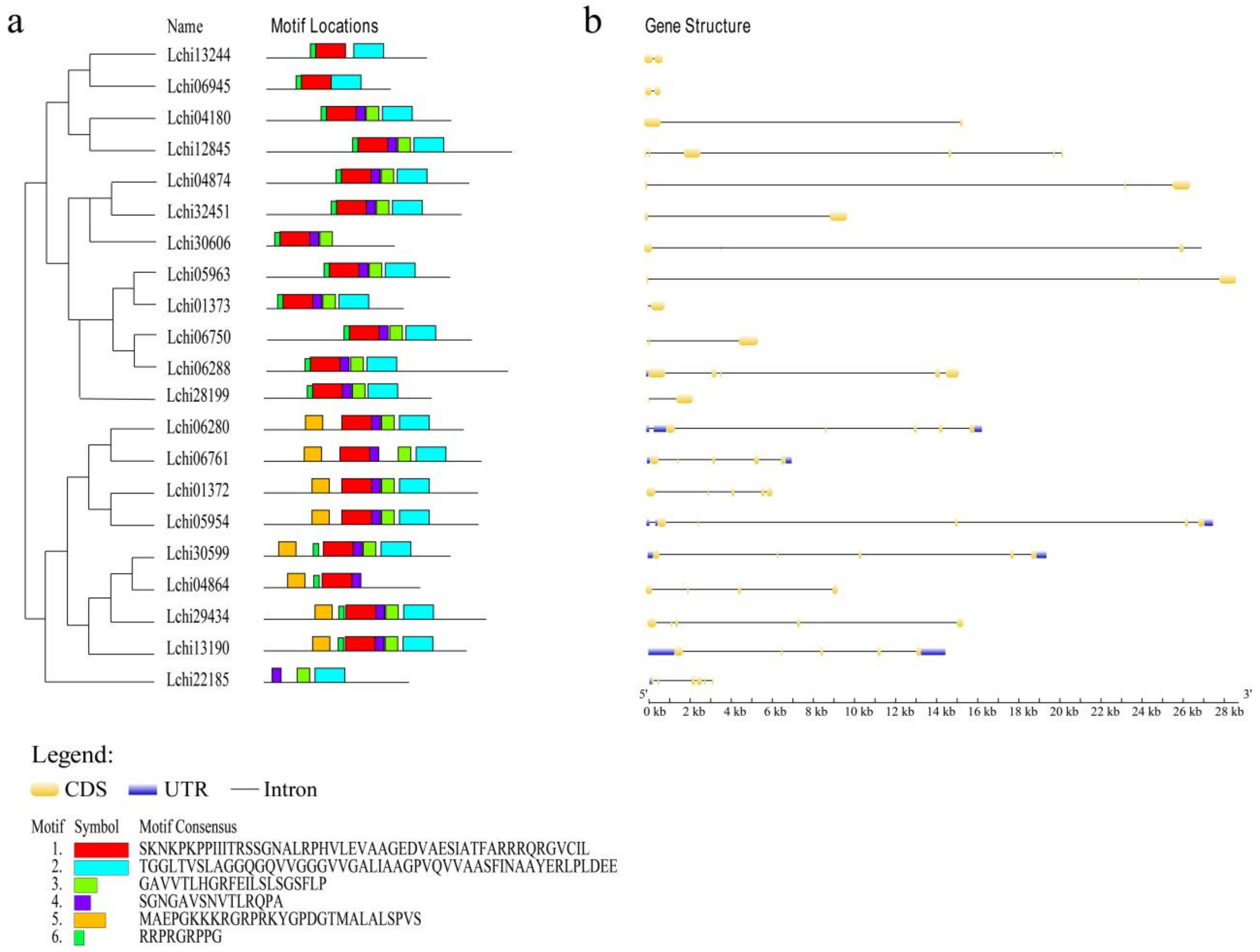 Plants 12 01353 g005