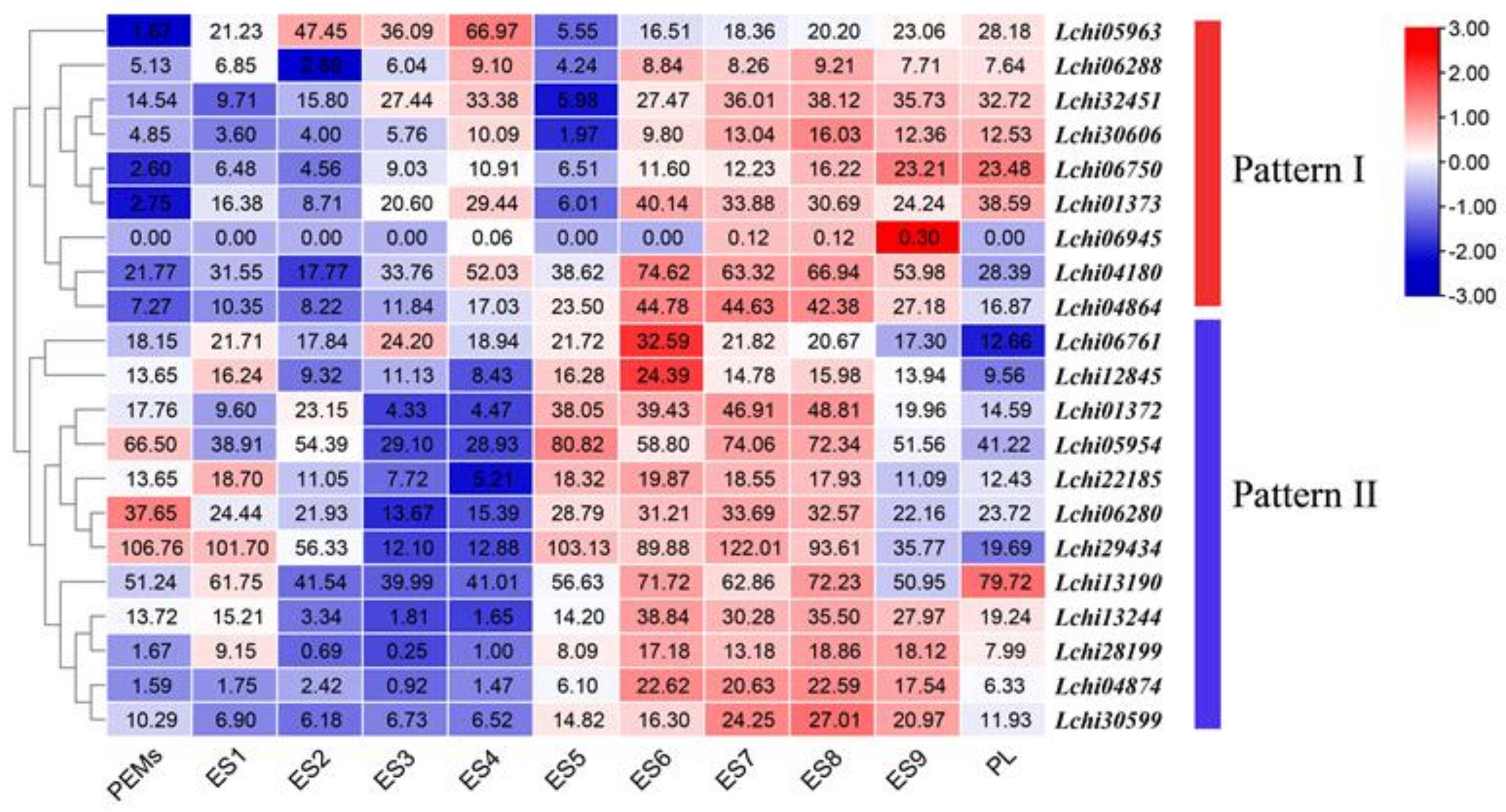 Plants 12 01353 g008