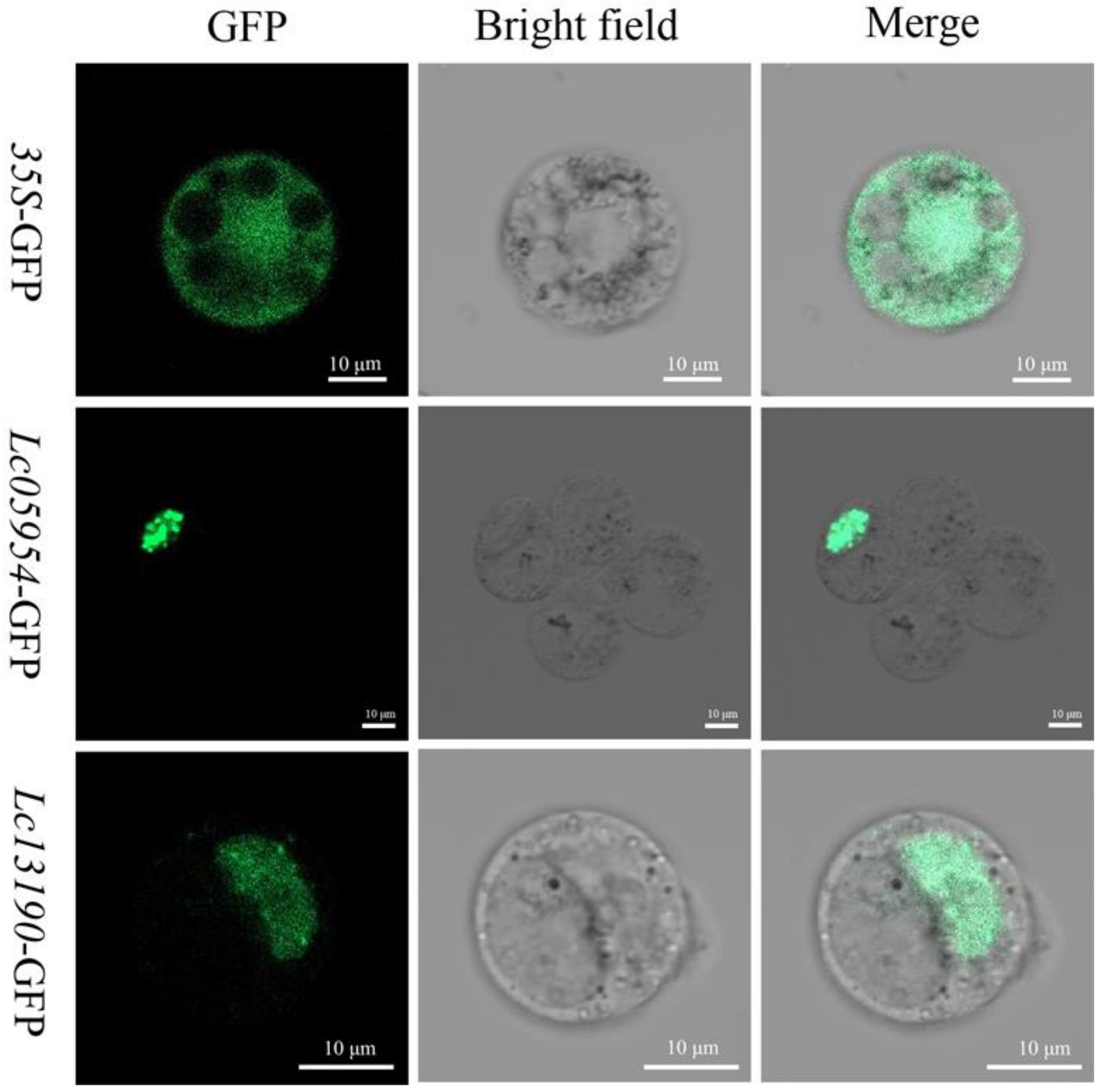 Plants 12 01353 g010