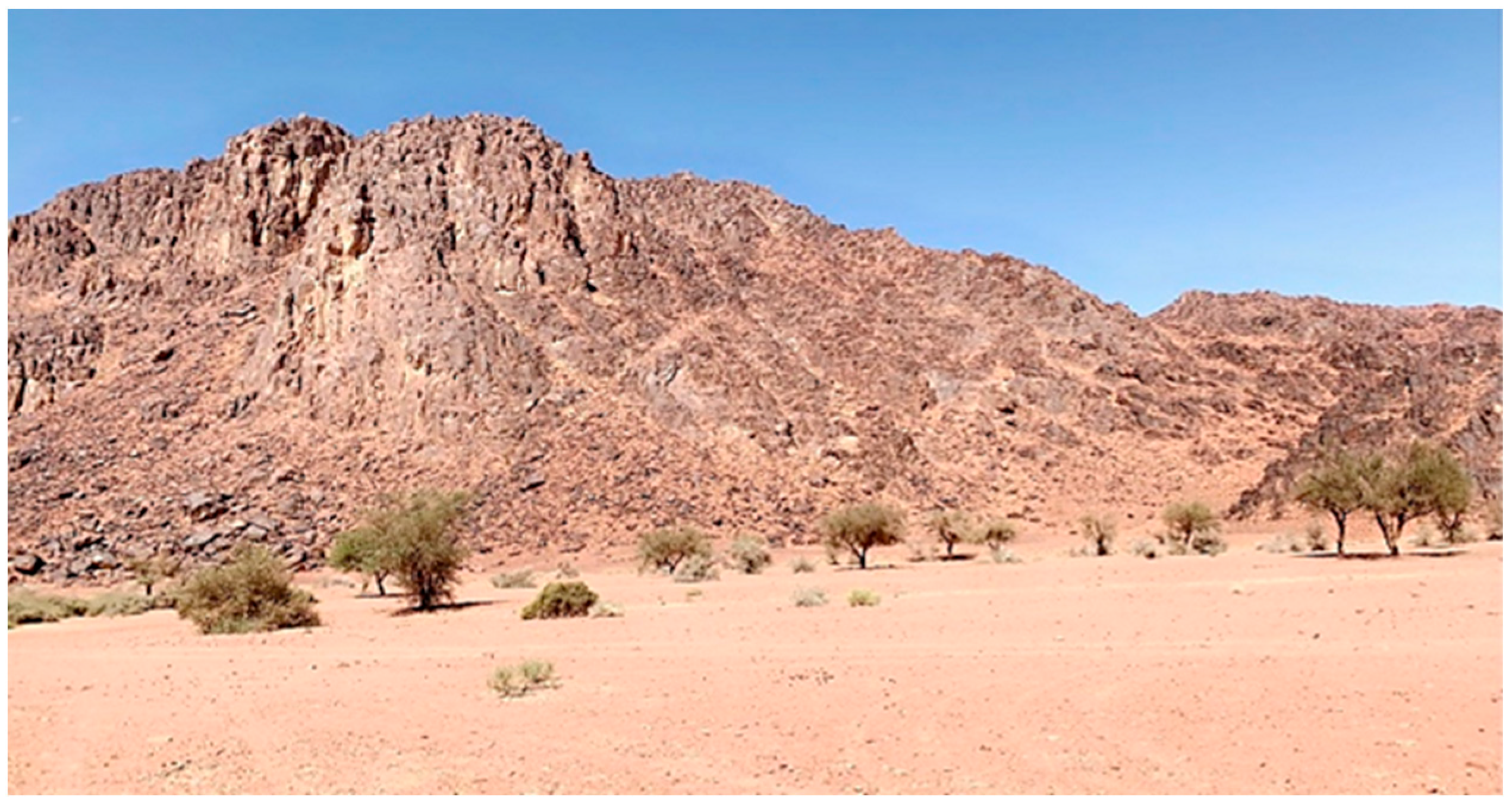 Plants 12 01354 g001 Plants 12 01354 g001