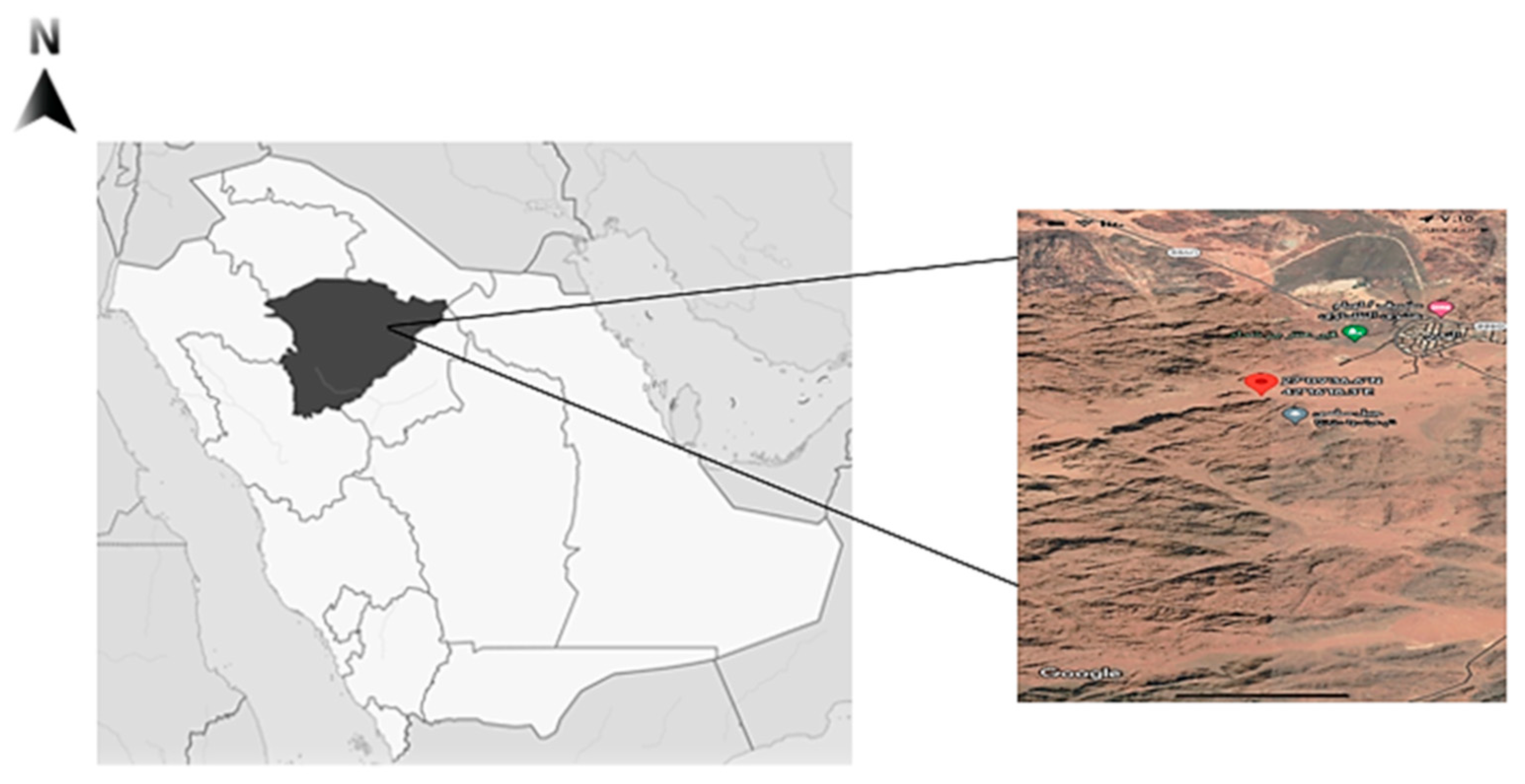 Plants 12 01354 g004 Plants 12 01354 g004