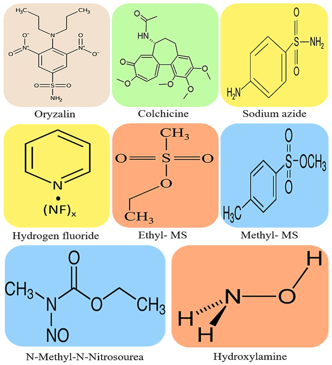 Plants 12 01356 g001 Plants 12 01356 g001