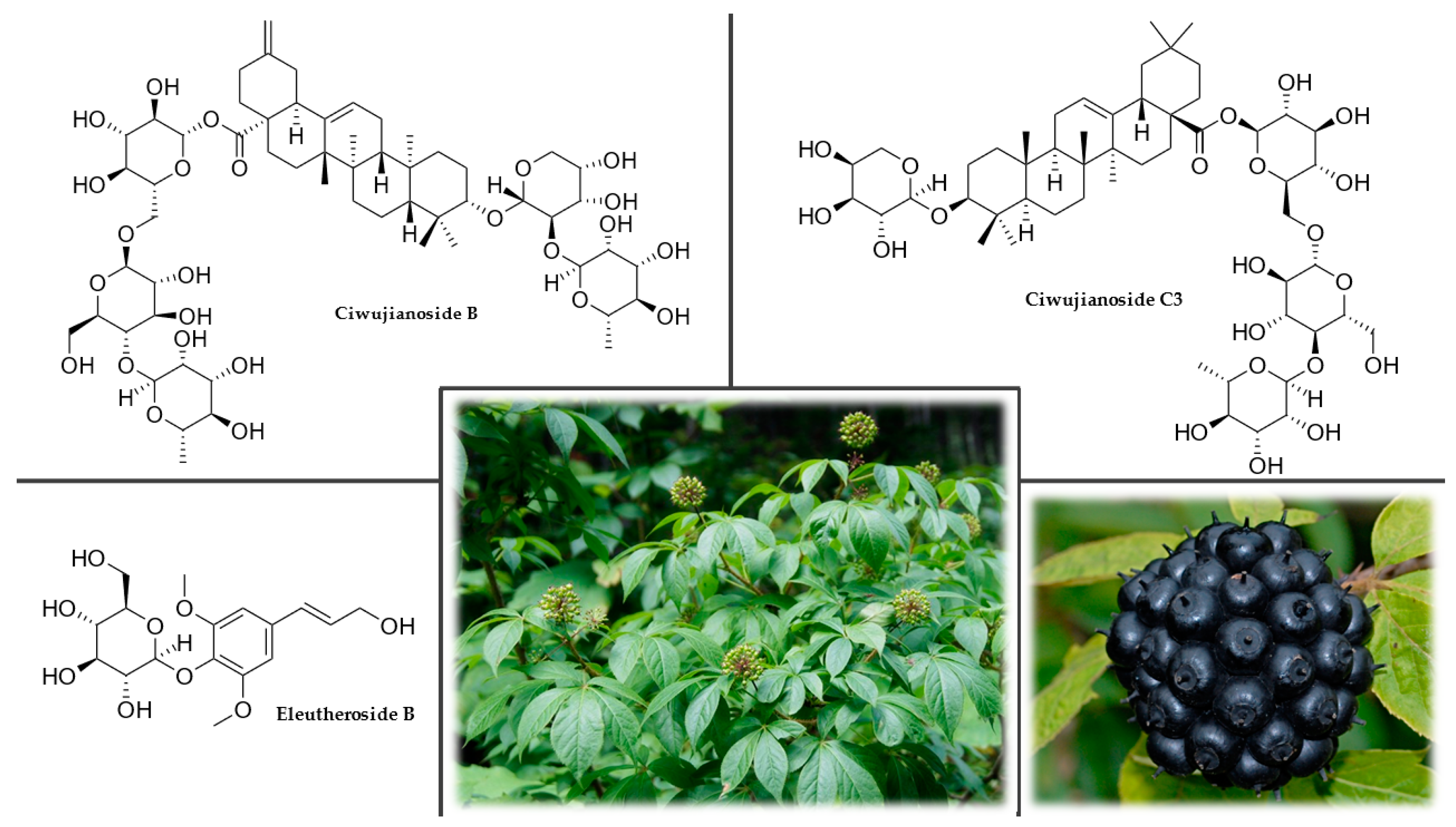 Plants 12 01364 g003 Plants 12 01364 g003