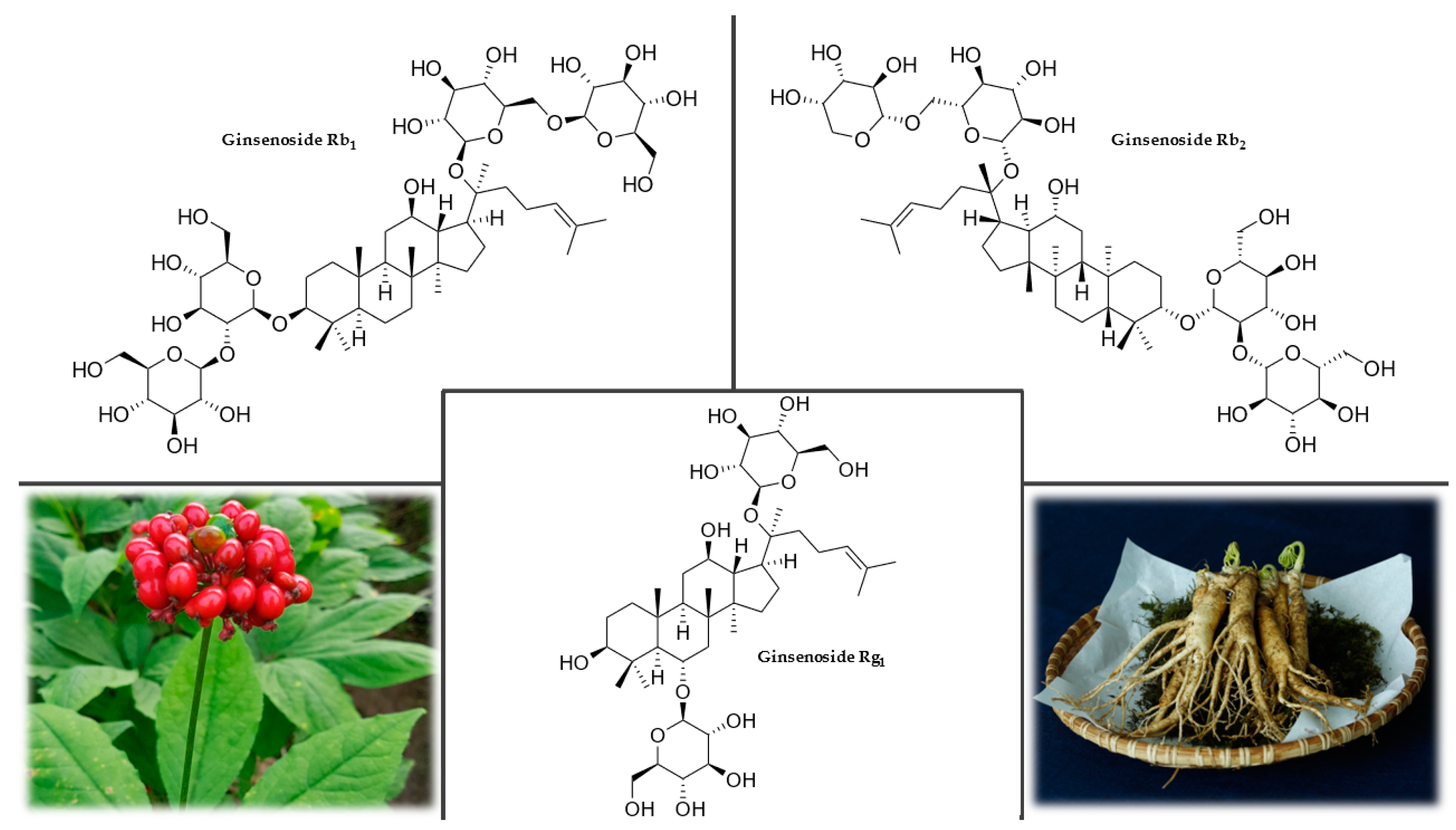 Plants 12 01364 g005 Plants 12 01364 g005
