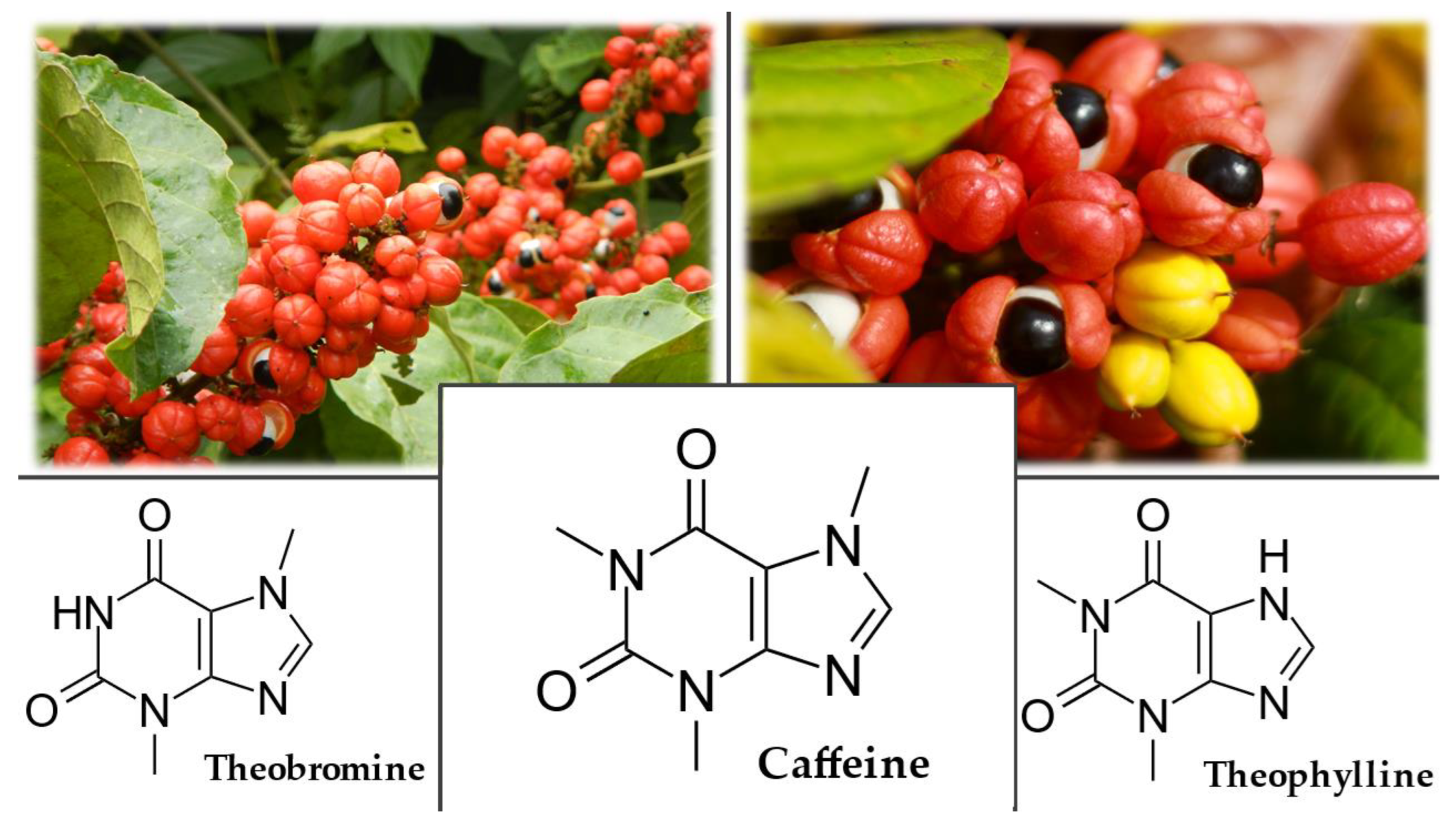 Plants 12 01364 g006 Plants 12 01364 g006