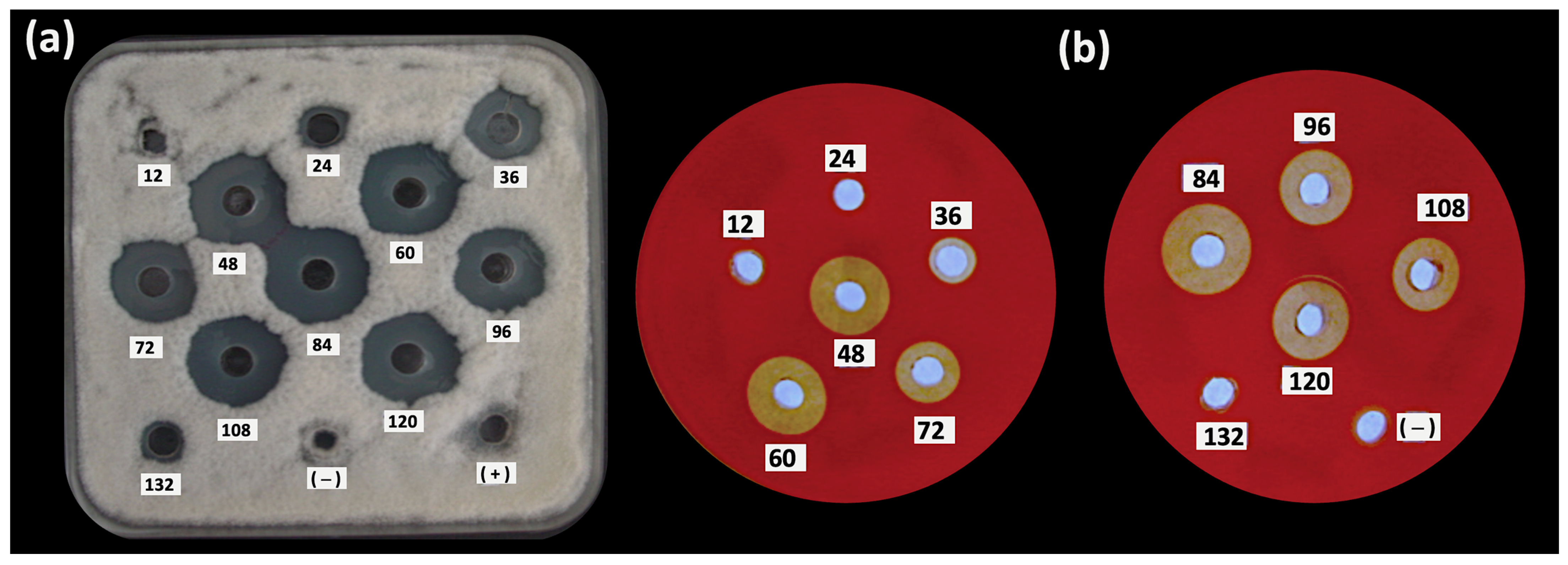 Plants 12 01374 g002 Plants 12 01374 g002