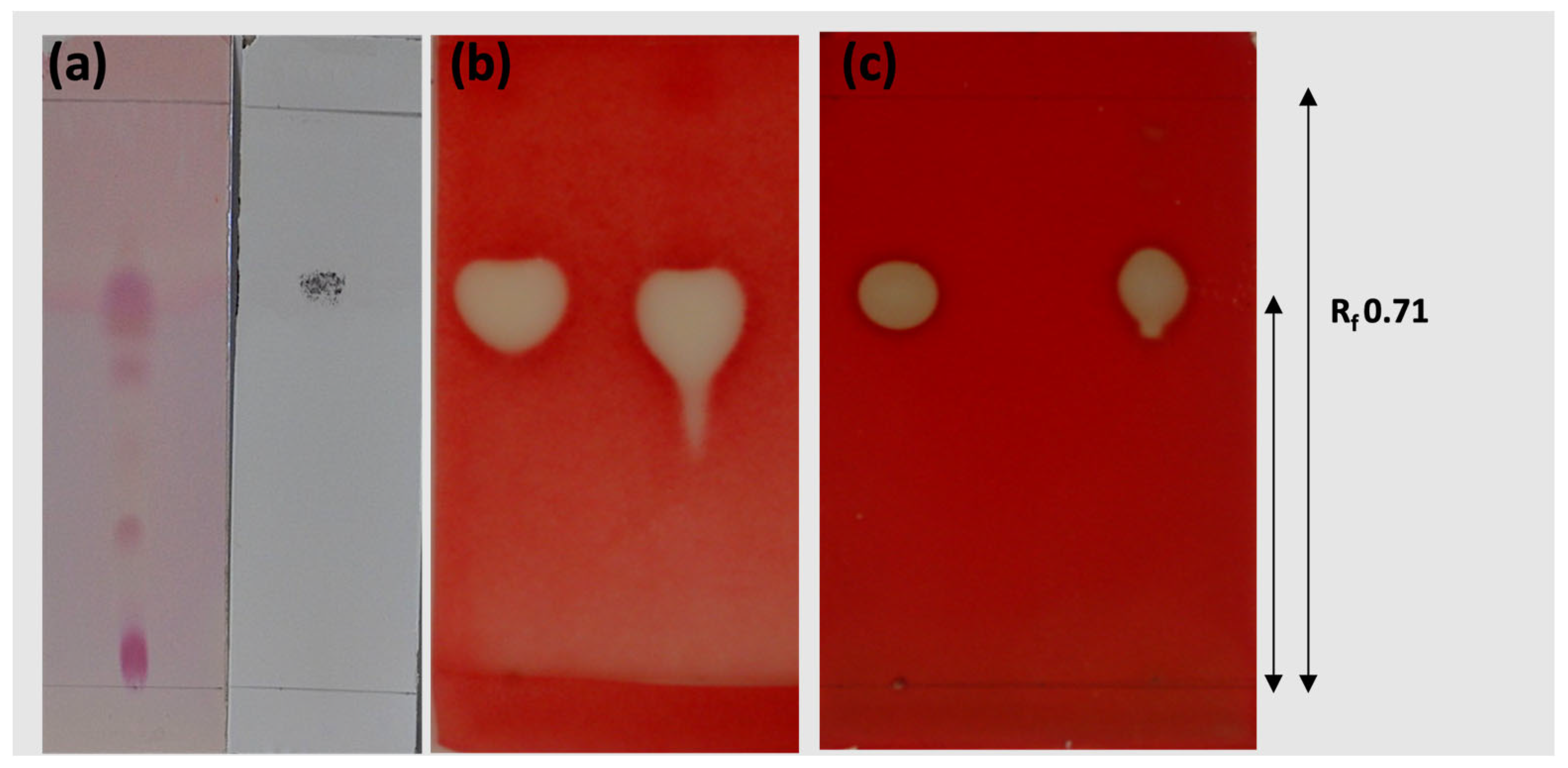 Plants 12 01374 g003 Plants 12 01374 g003