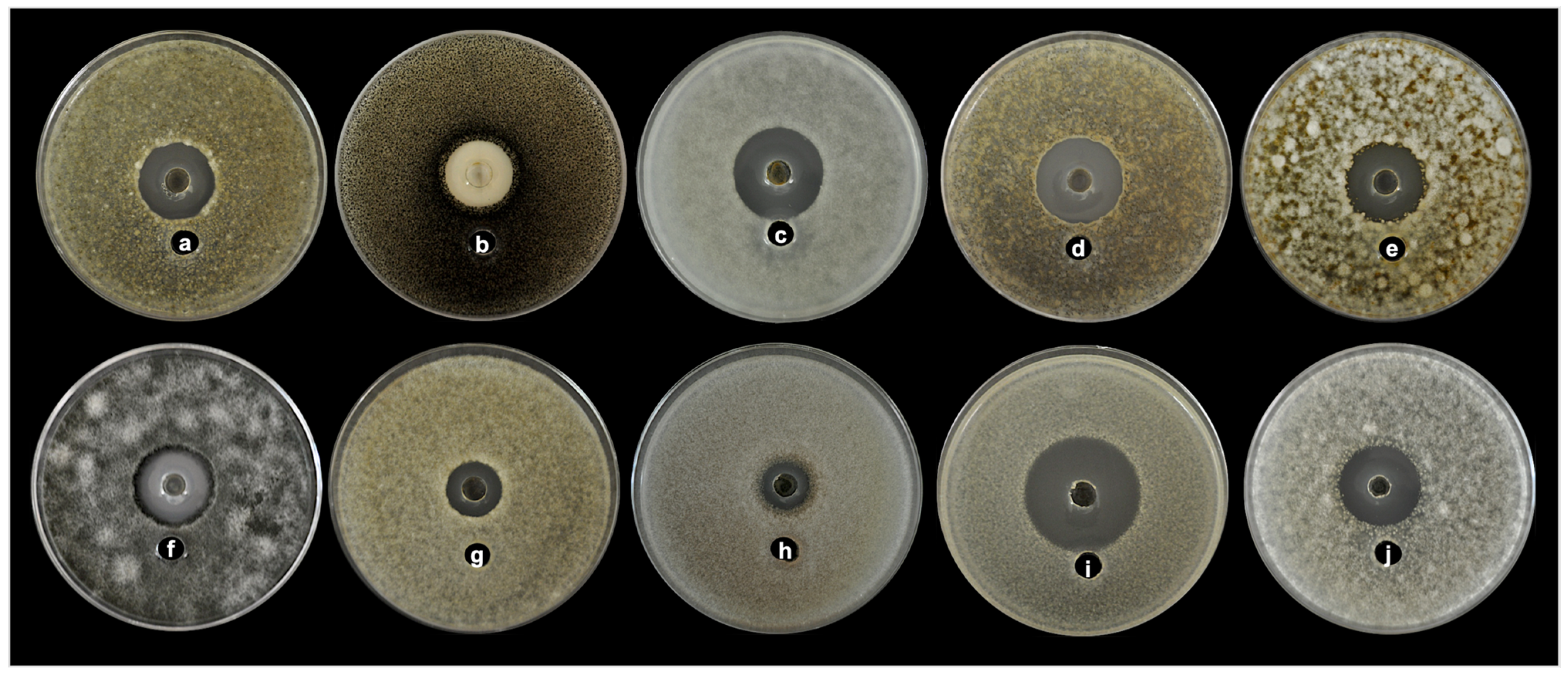 Plants 12 01374 g005 Plants 12 01374 g005