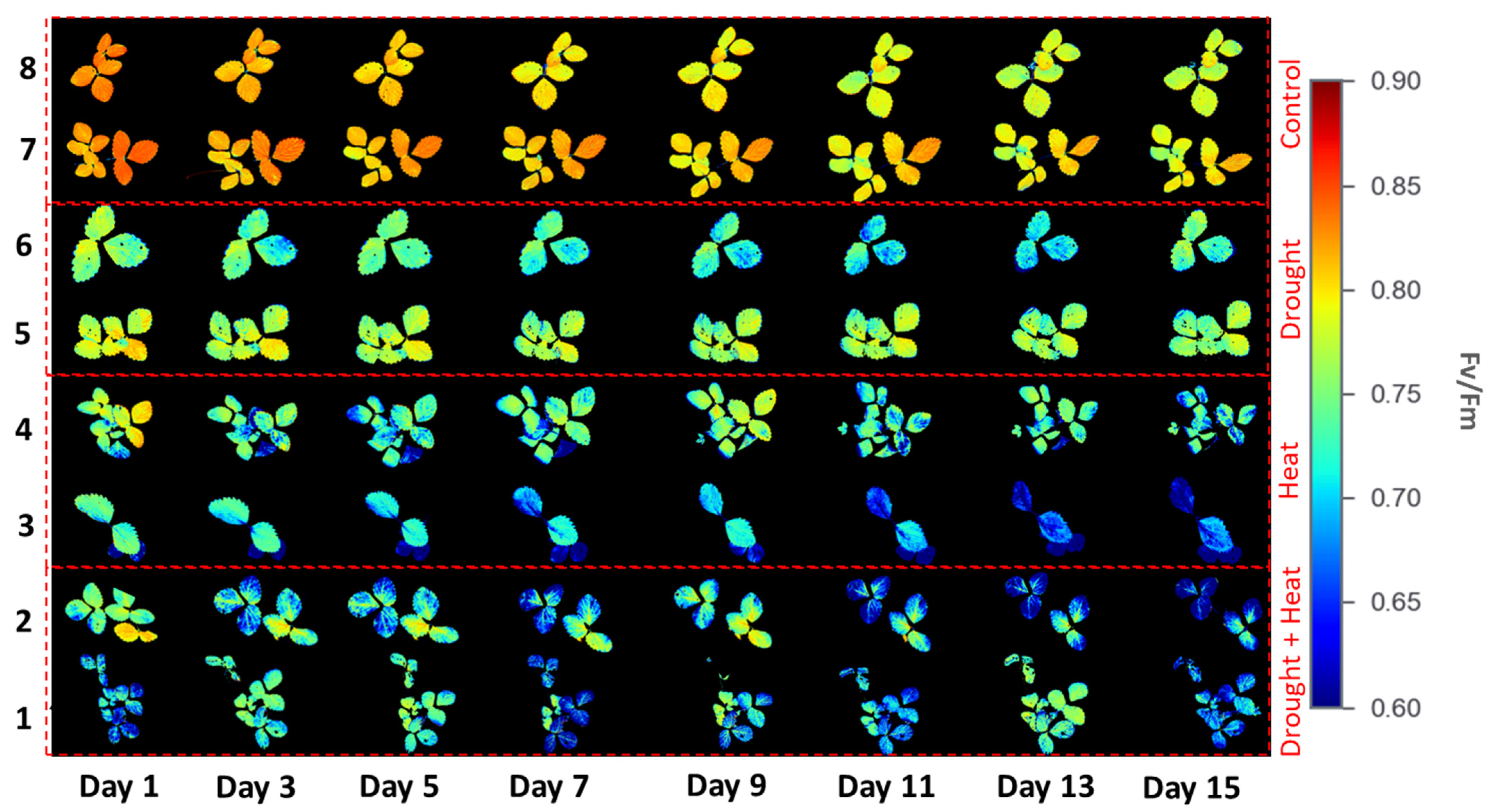 Plants 12 01387 g006