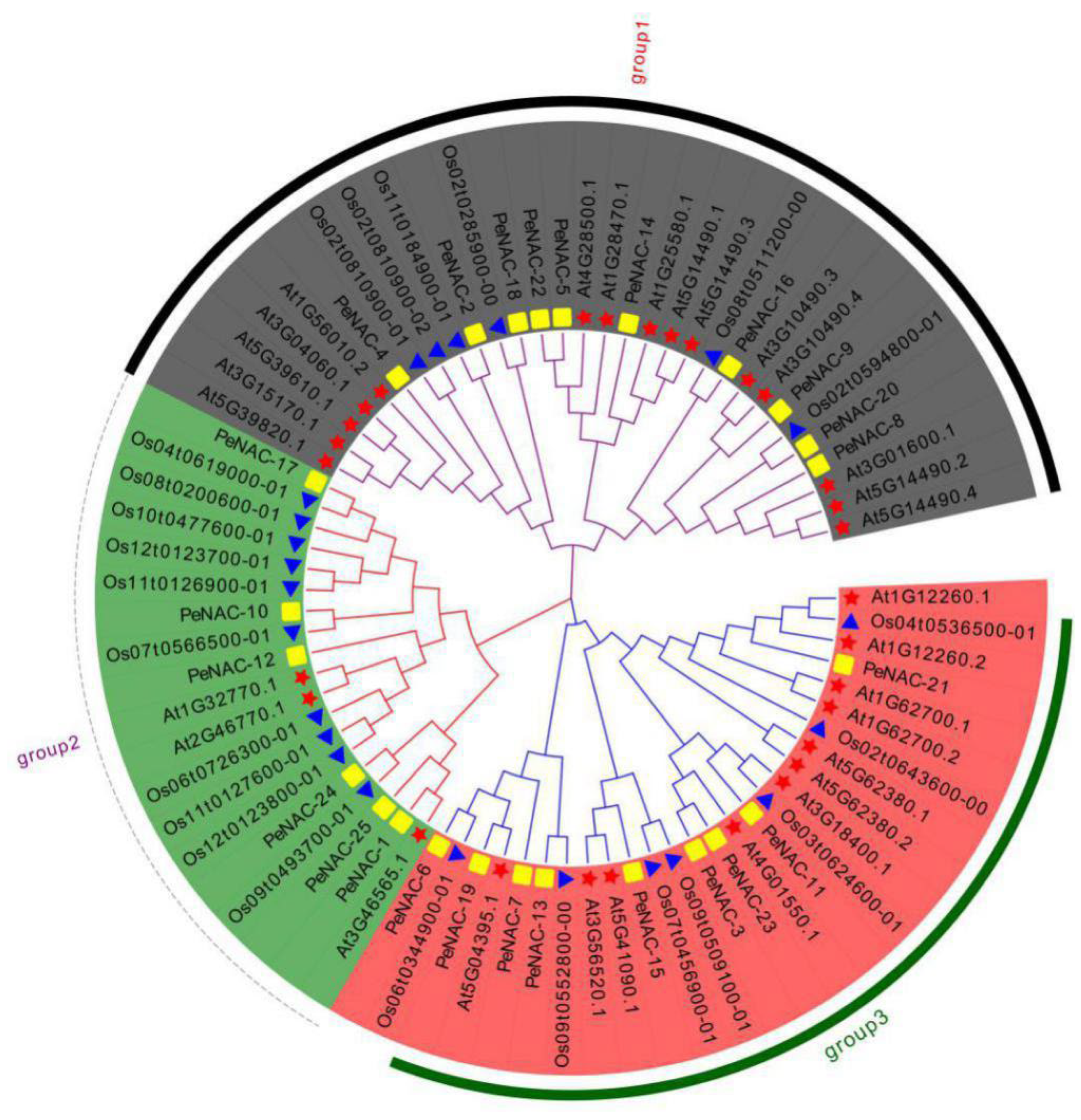 Plants 12 01393 g001