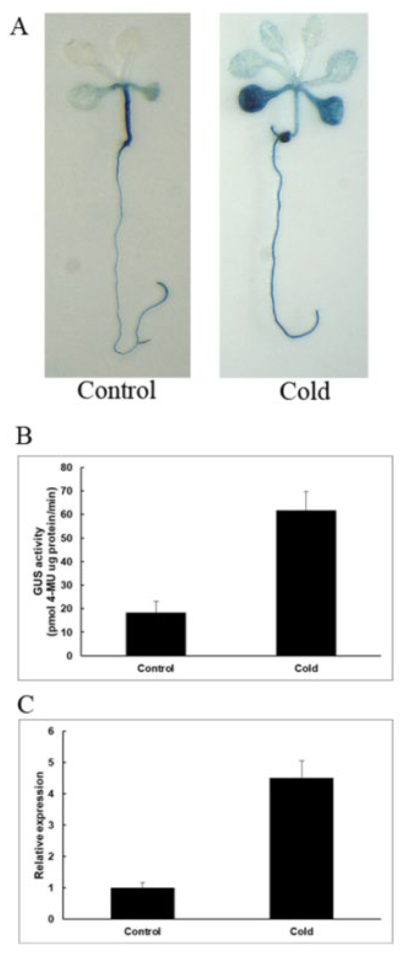 Plants 12 01393 g009