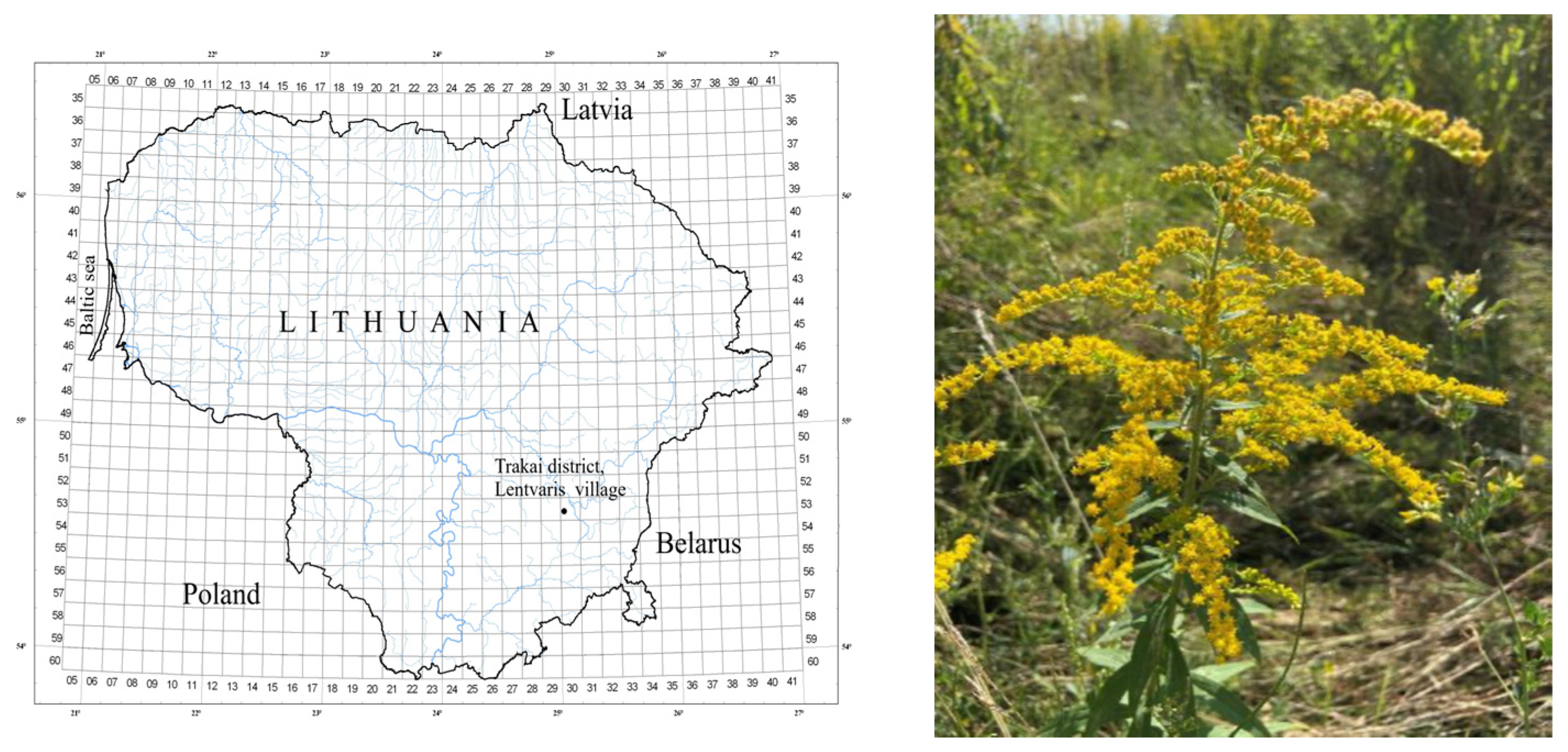 Plants 12 01421 g006