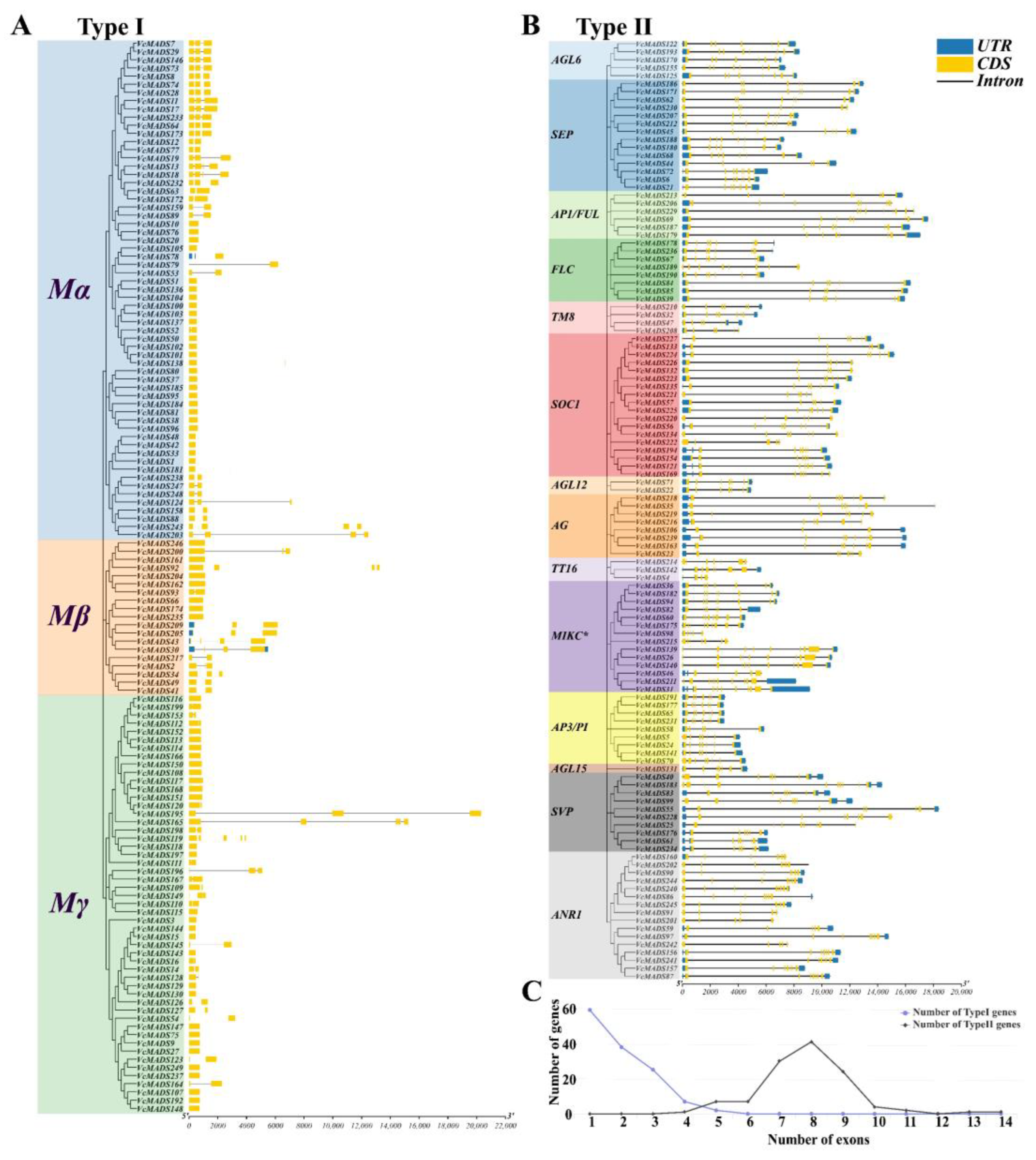 Plants 12 01424 g004 Plants 12 01424 g004