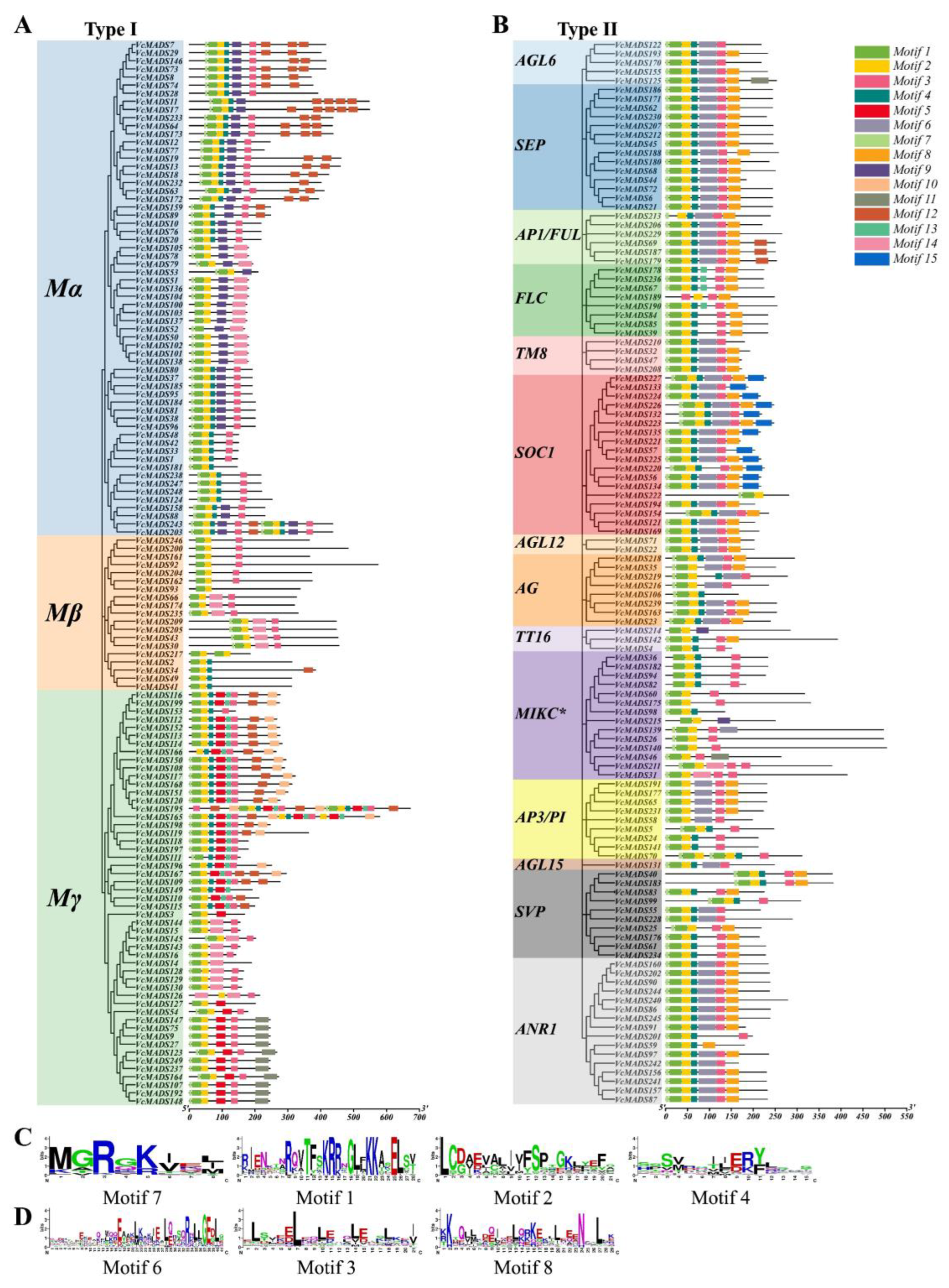 Plants 12 01424 g005 Plants 12 01424 g005