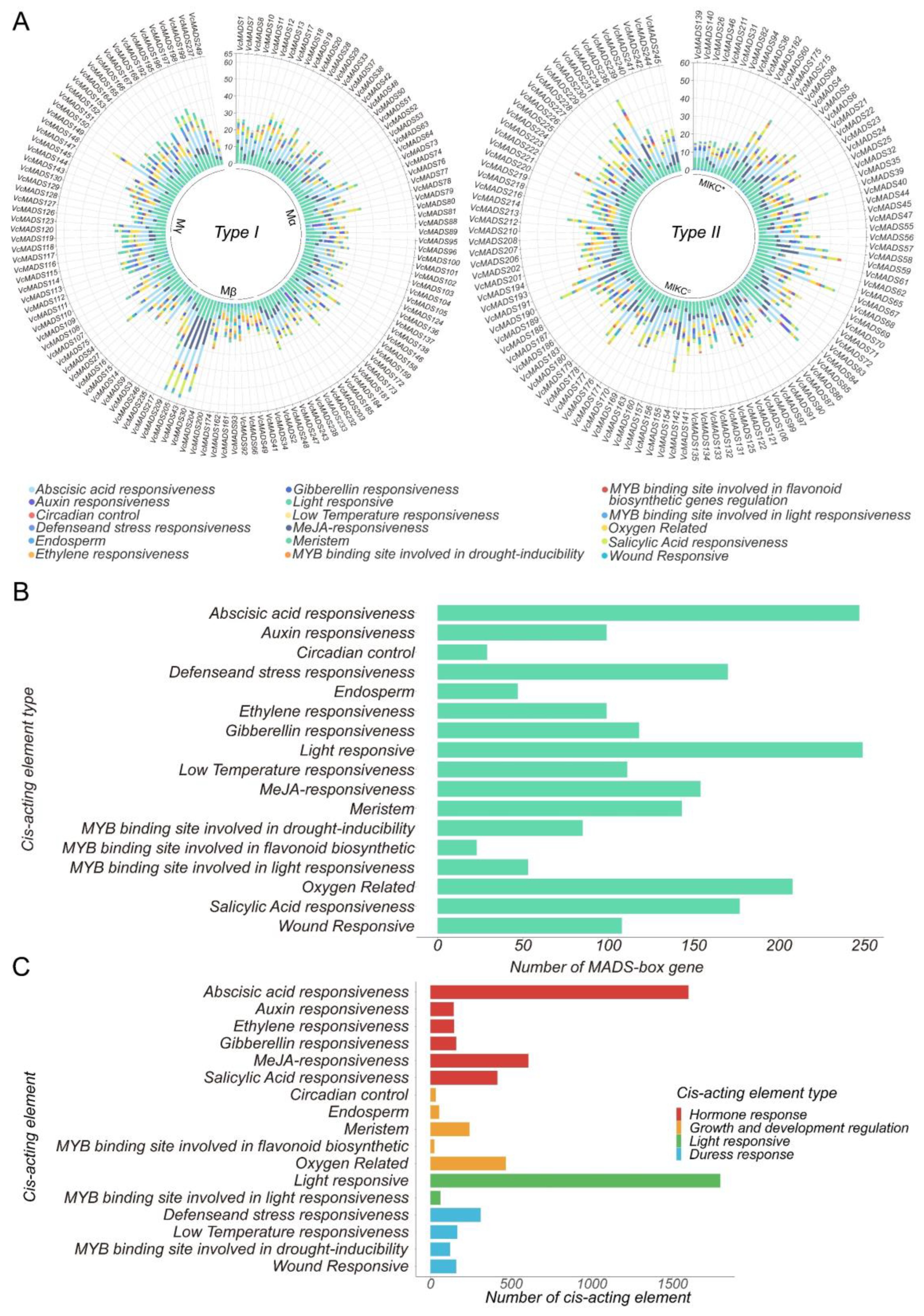 Plants 12 01424 g006 Plants 12 01424 g006