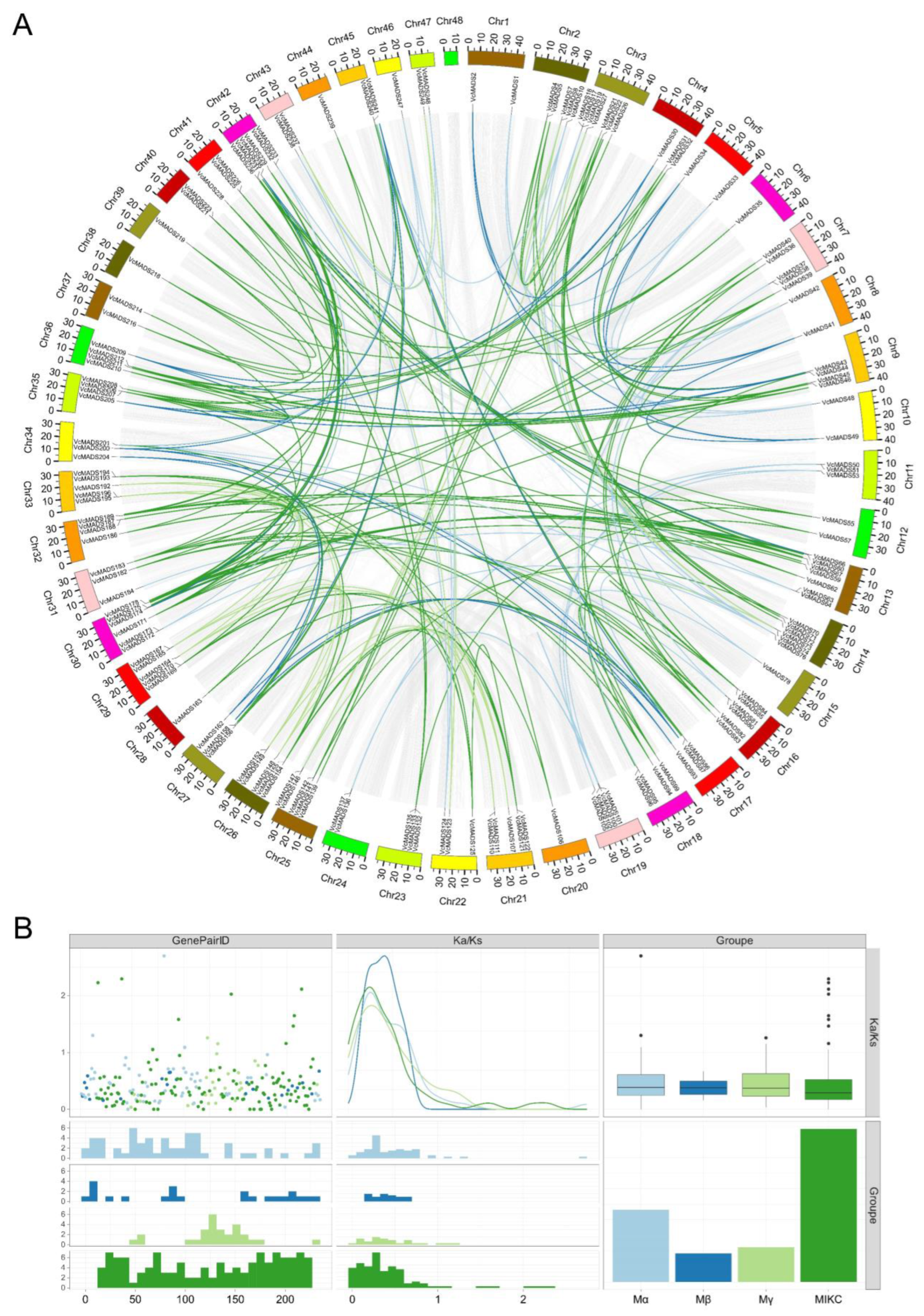 Plants 12 01424 g007 Plants 12 01424 g007