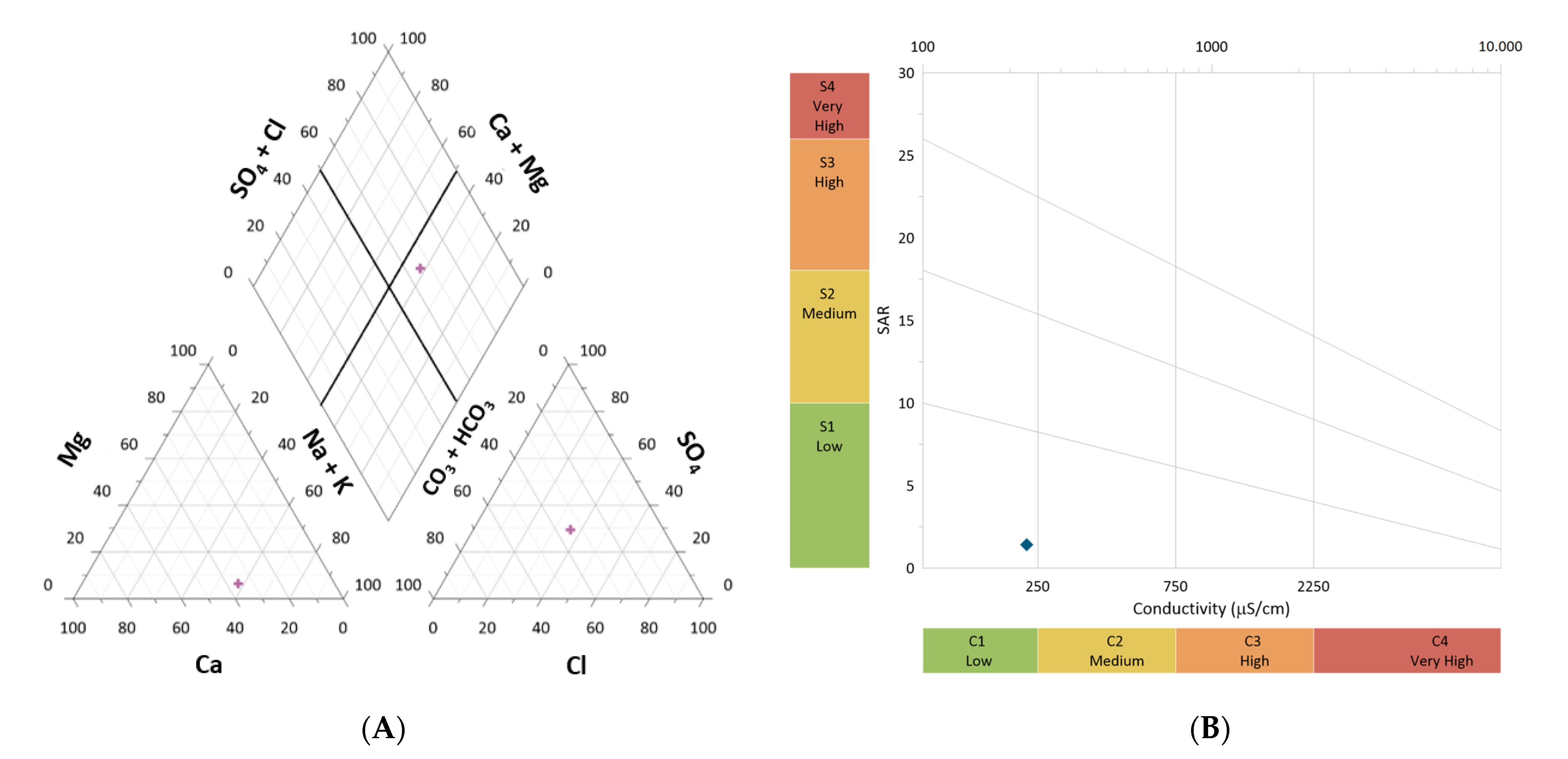 Plants 12 01426 g001