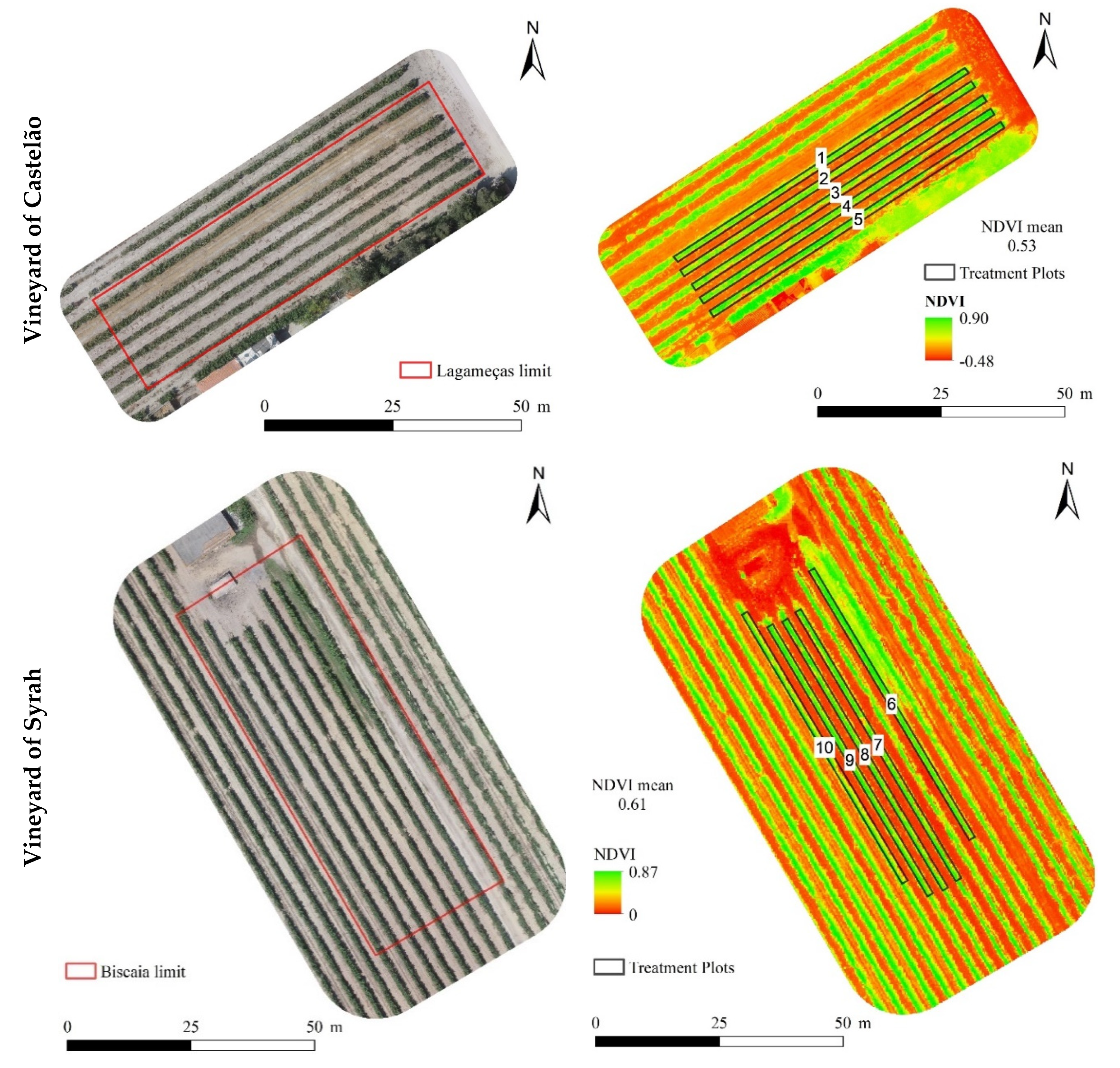 Plants 12 01426 g002