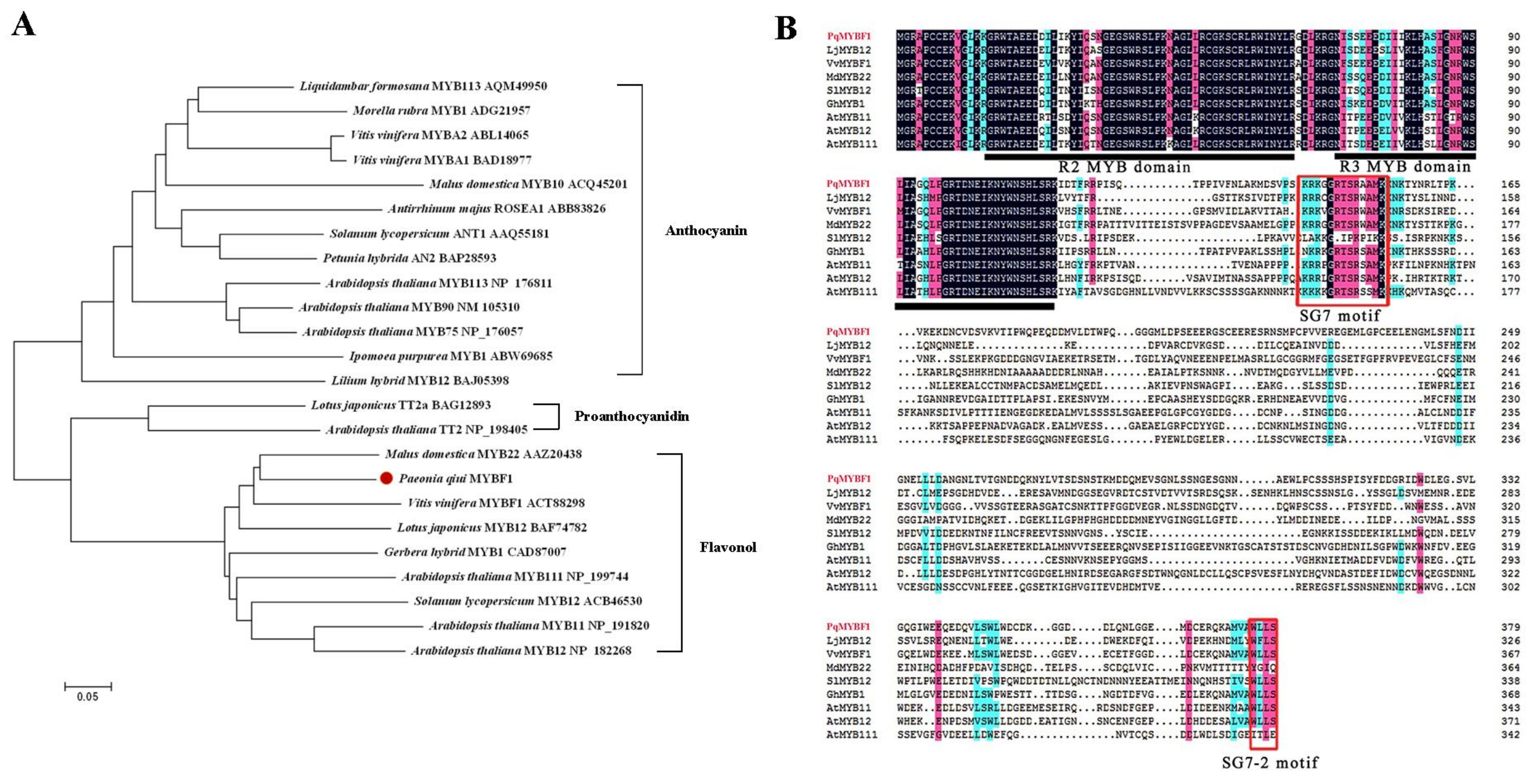 Plants 12 01427 g001 Plants 12 01427 g001