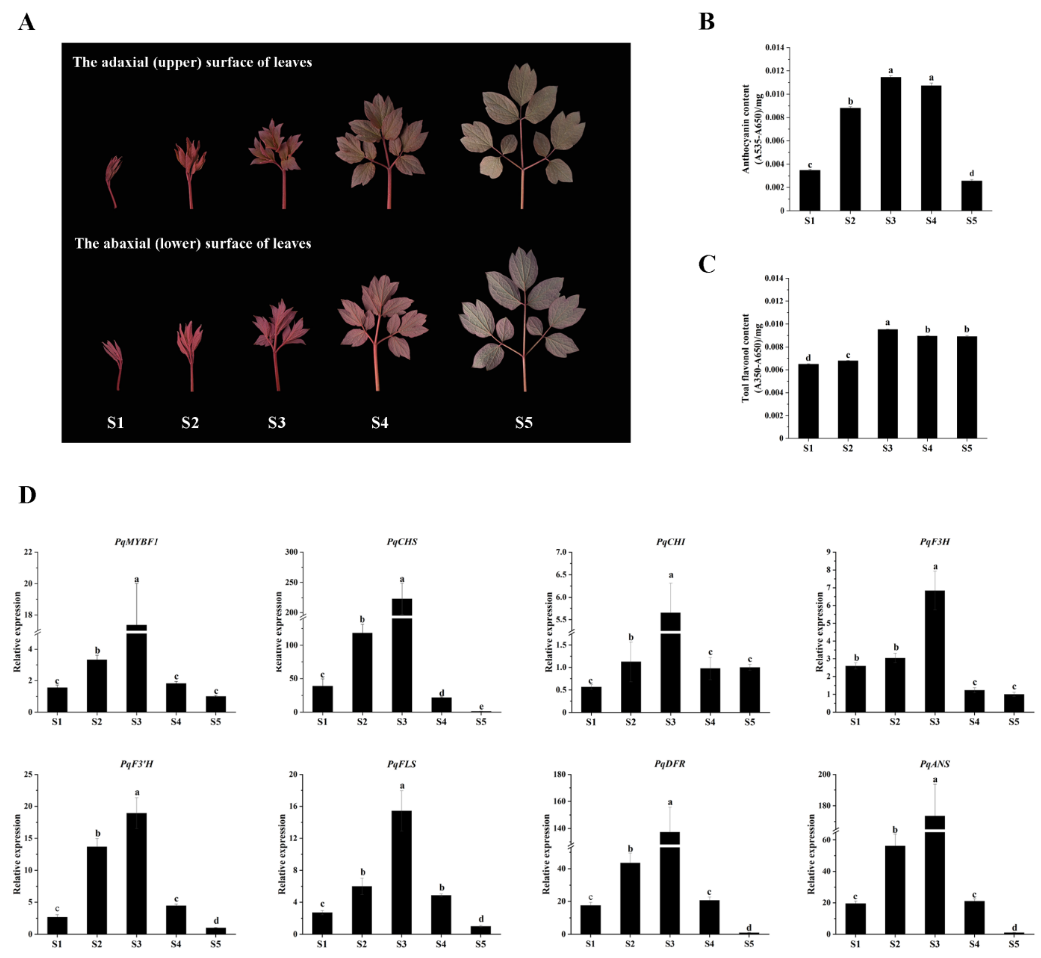 Plants 12 01427 g003 Plants 12 01427 g003