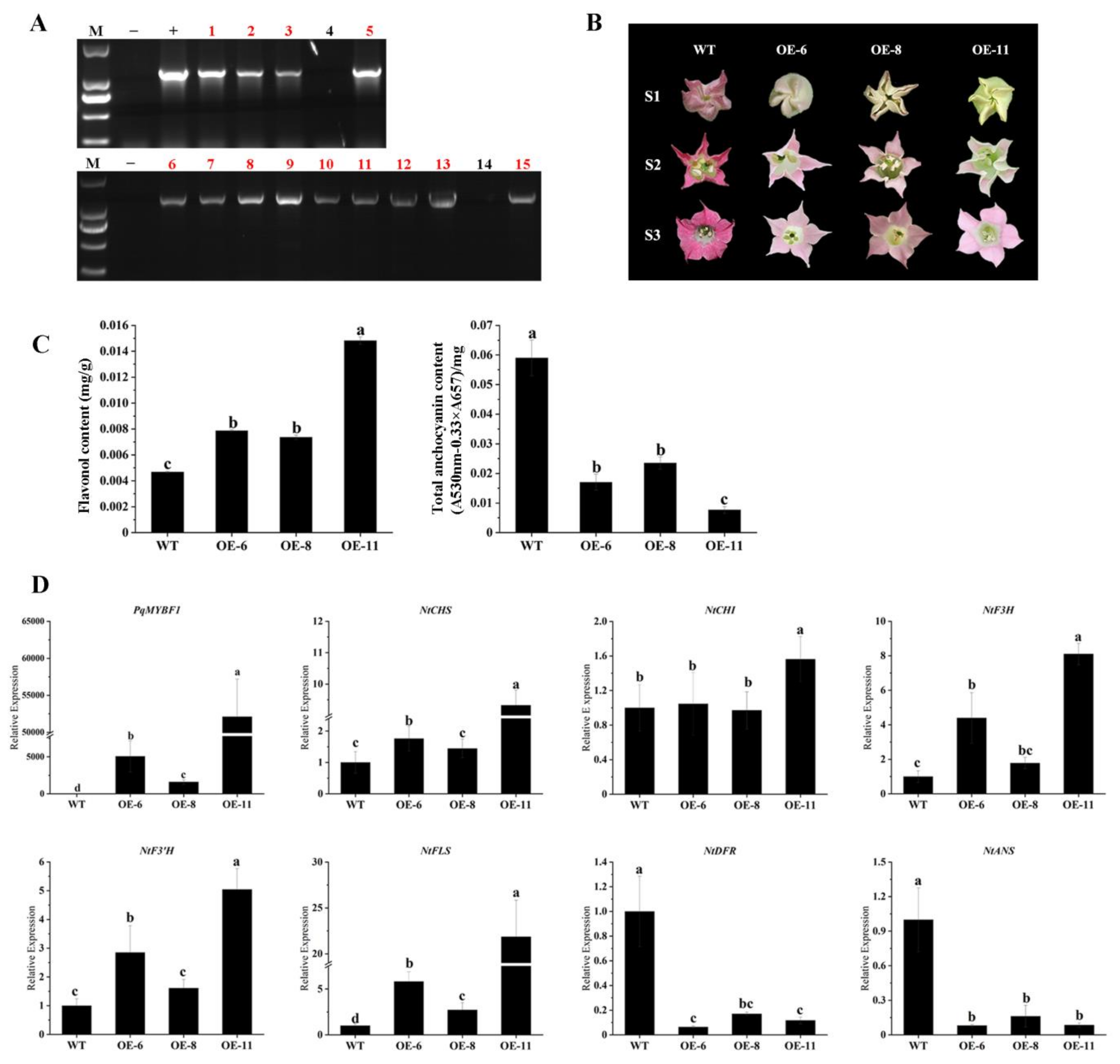 Plants 12 01427 g004 Plants 12 01427 g004
