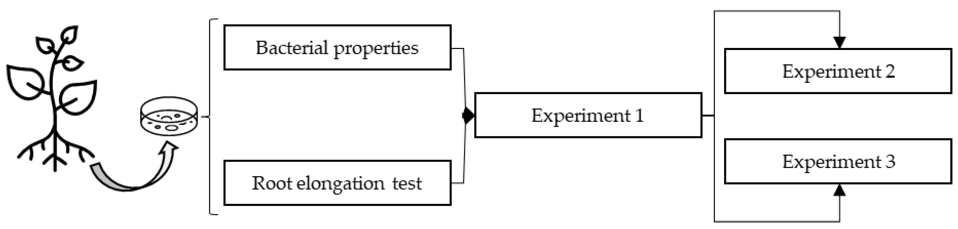 Plants 12 01436 g001