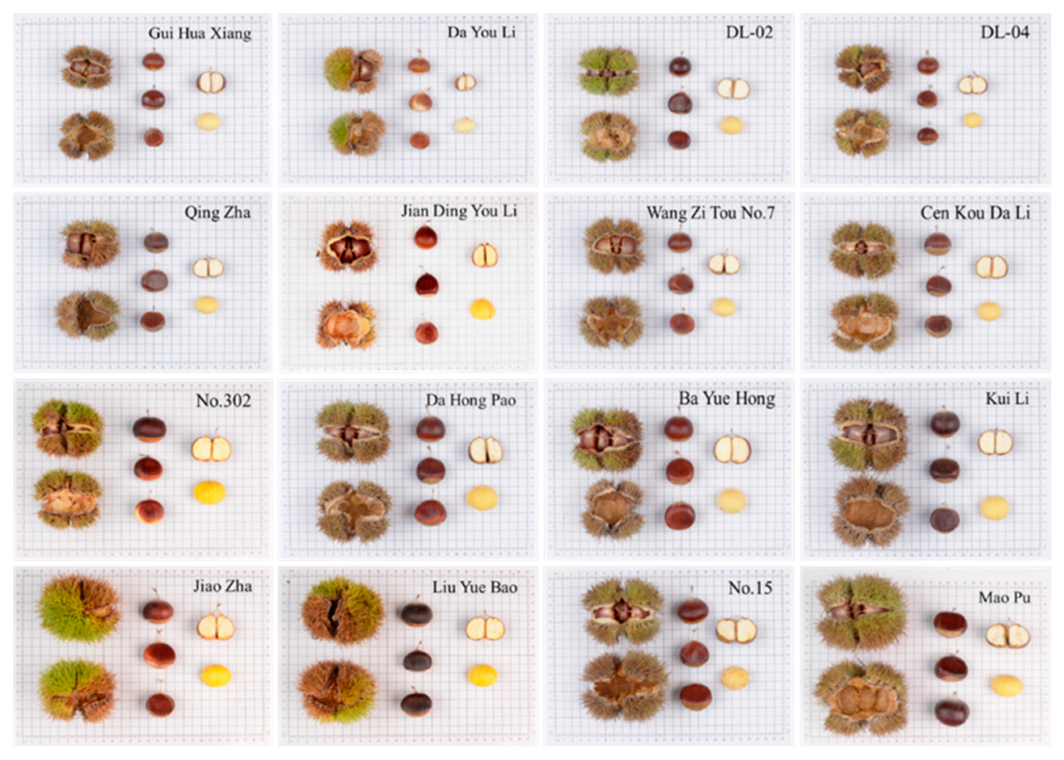 Plants 12 01438 g002 Plants 12 01438 g002