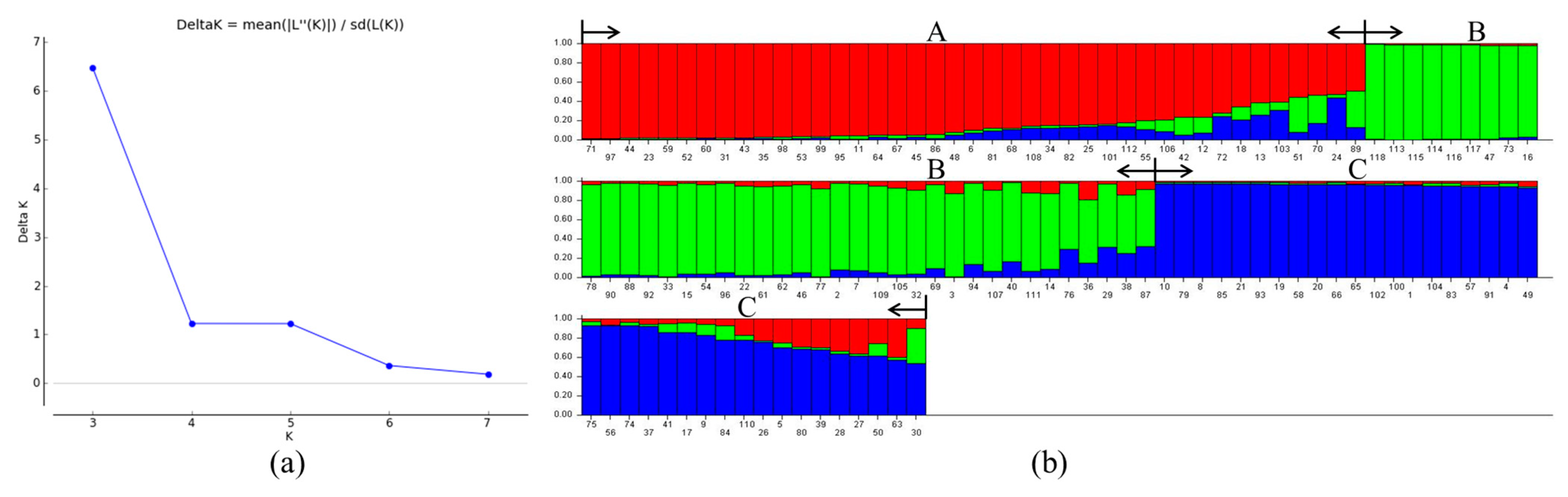 Plants 12 01438 g003 Plants 12 01438 g003