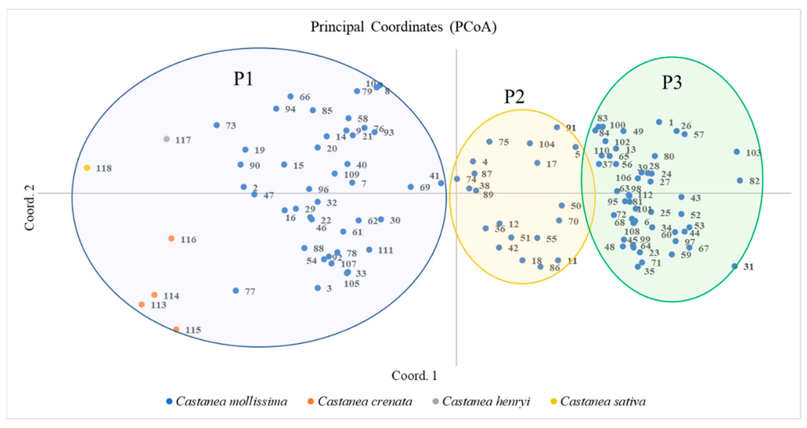 Plants 12 01438 g004 Plants 12 01438 g004