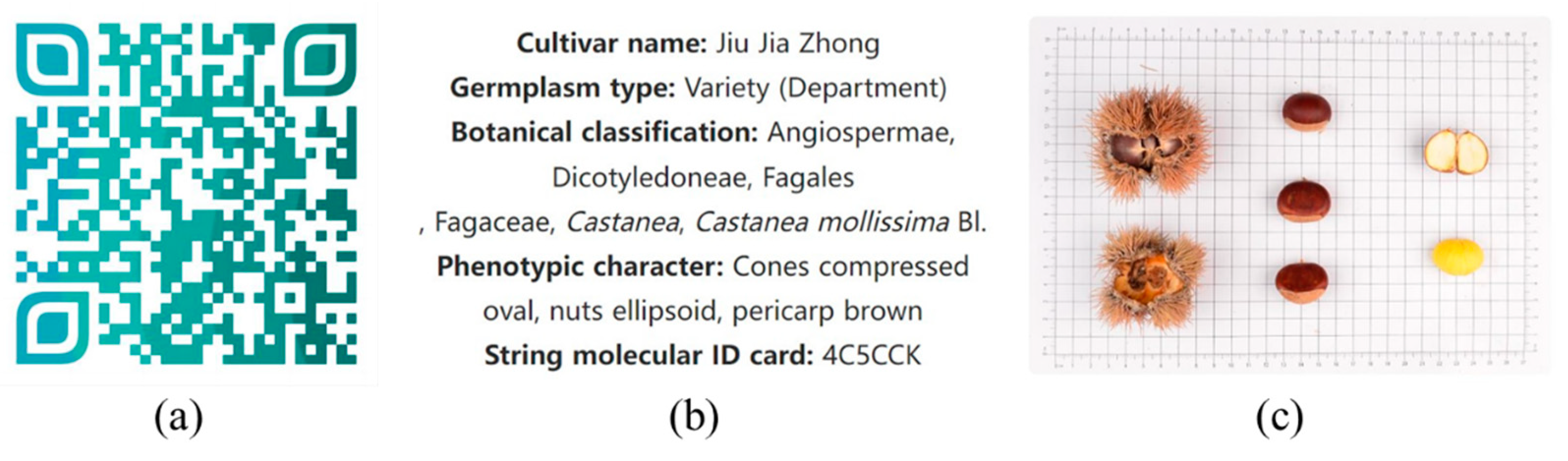Plants 12 01438 g006 Plants 12 01438 g006