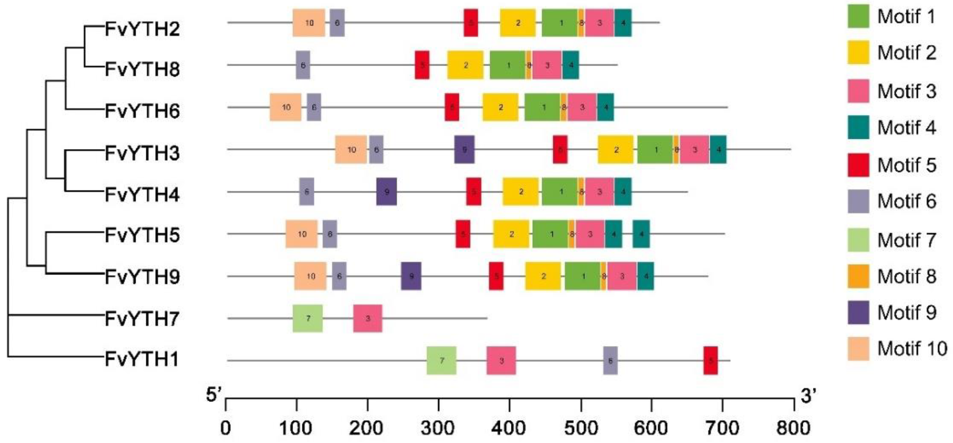 Plants 12 01449 g003