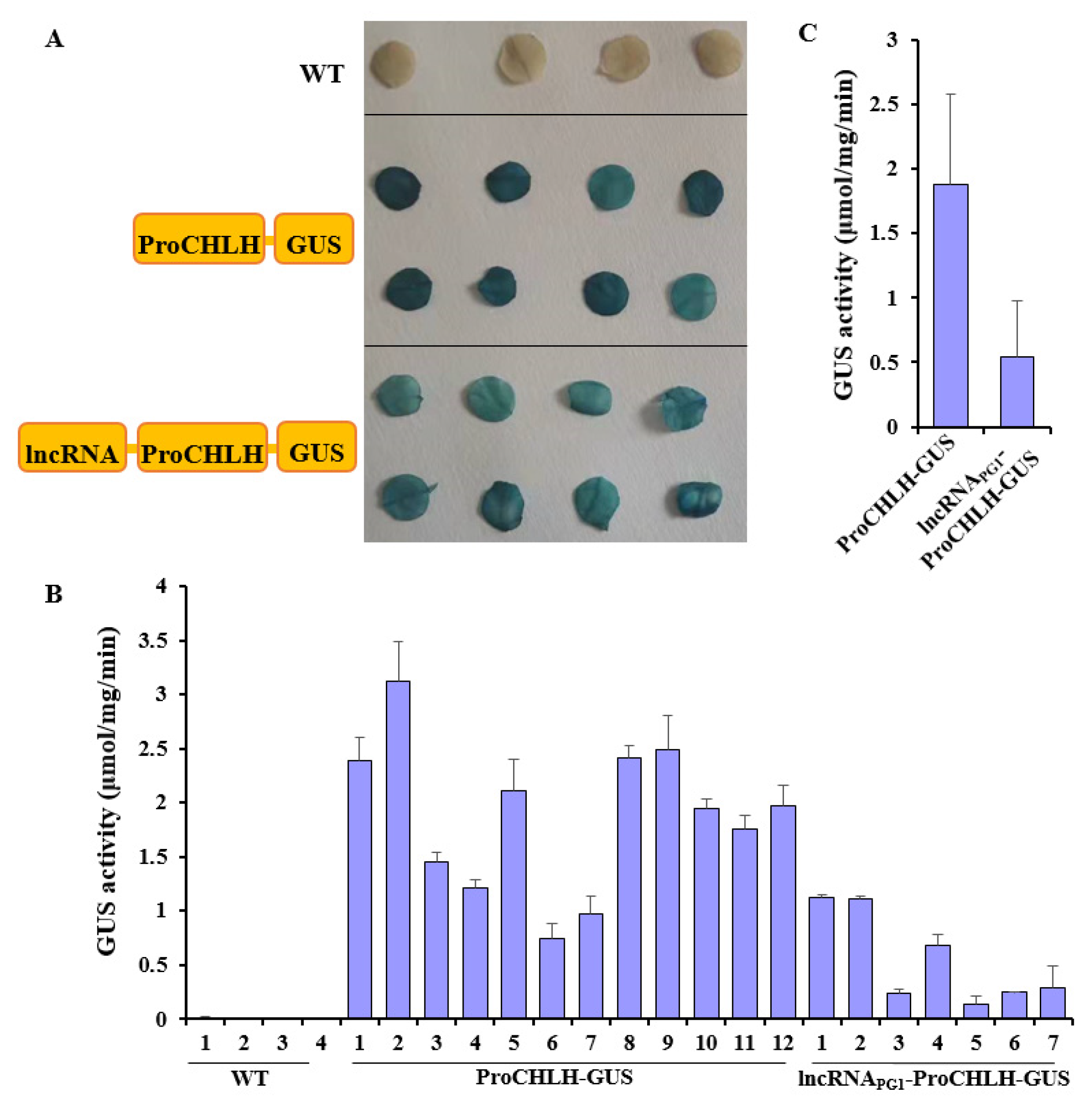 Plants 12 01452 g005