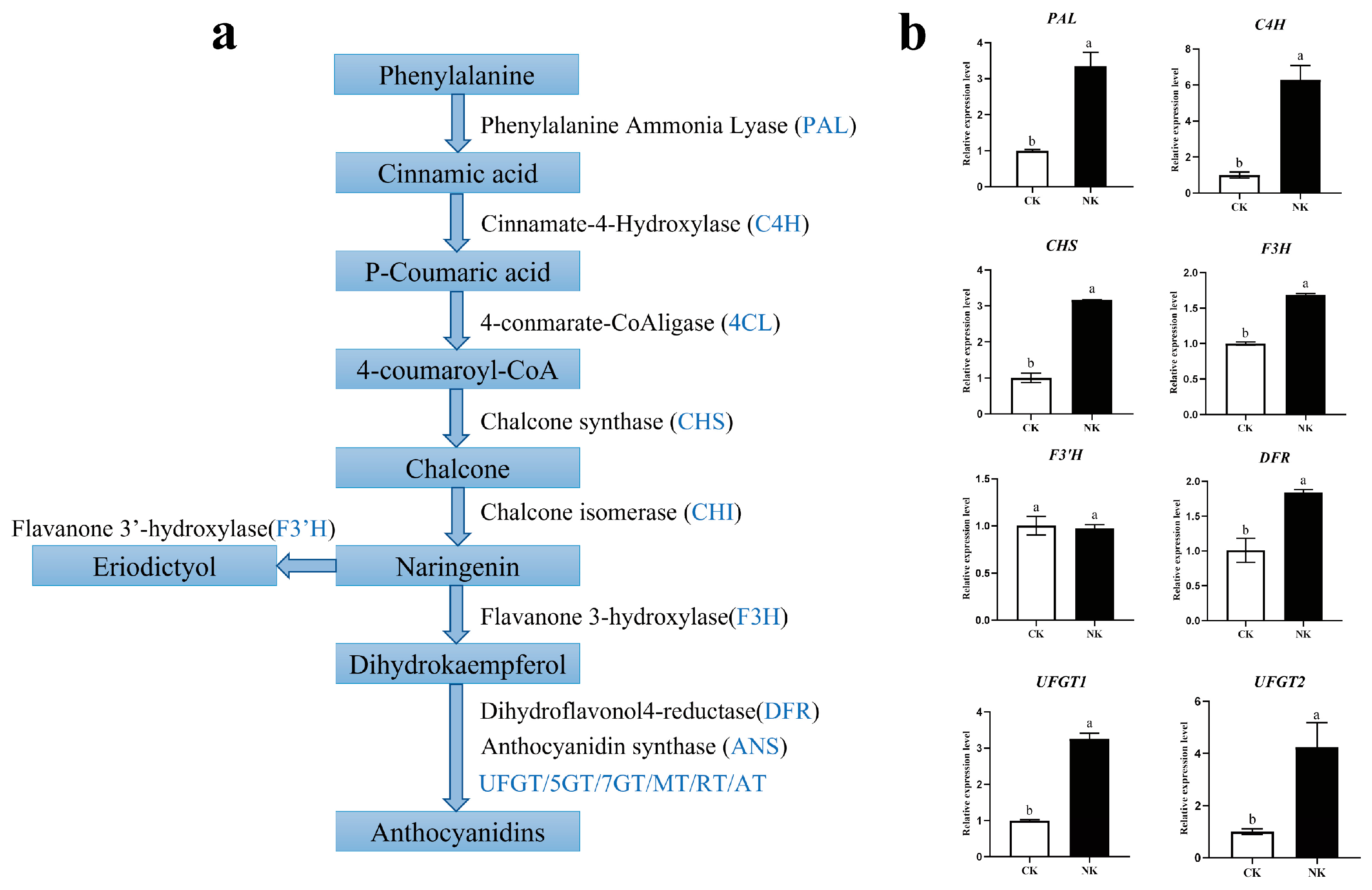 Plants 12 01459 g008 Plants 12 01459 g008
