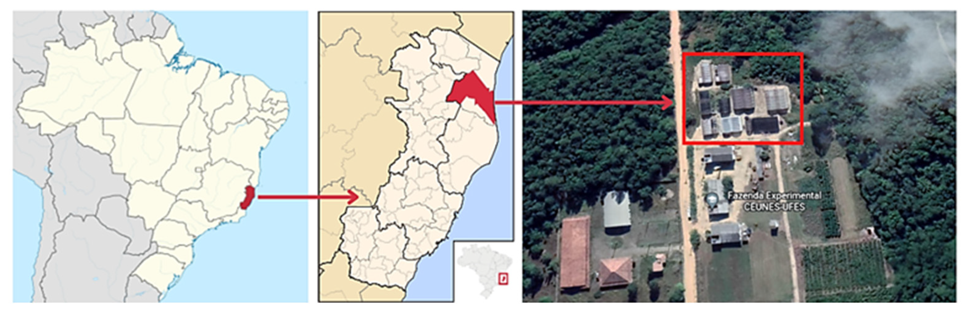 Plants 12 01467 g006 Plants 12 01467 g006