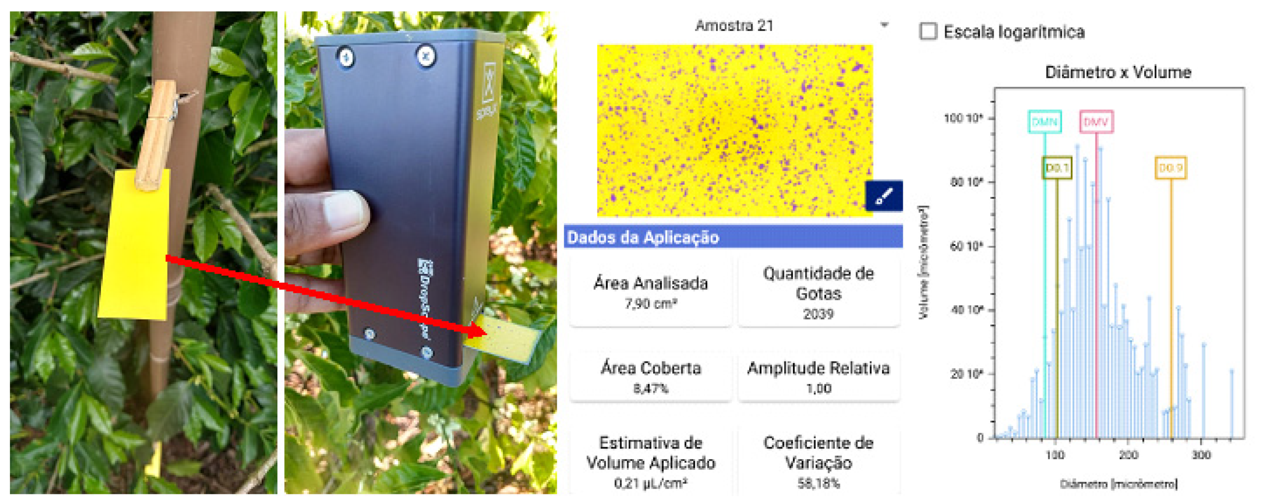 Plants 12 01467 g008 Plants 12 01467 g008