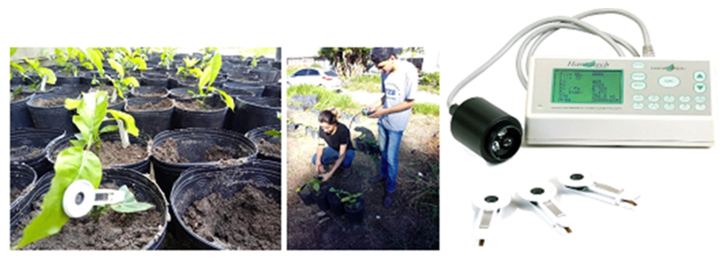 Plants 12 01467 g009 Plants 12 01467 g009